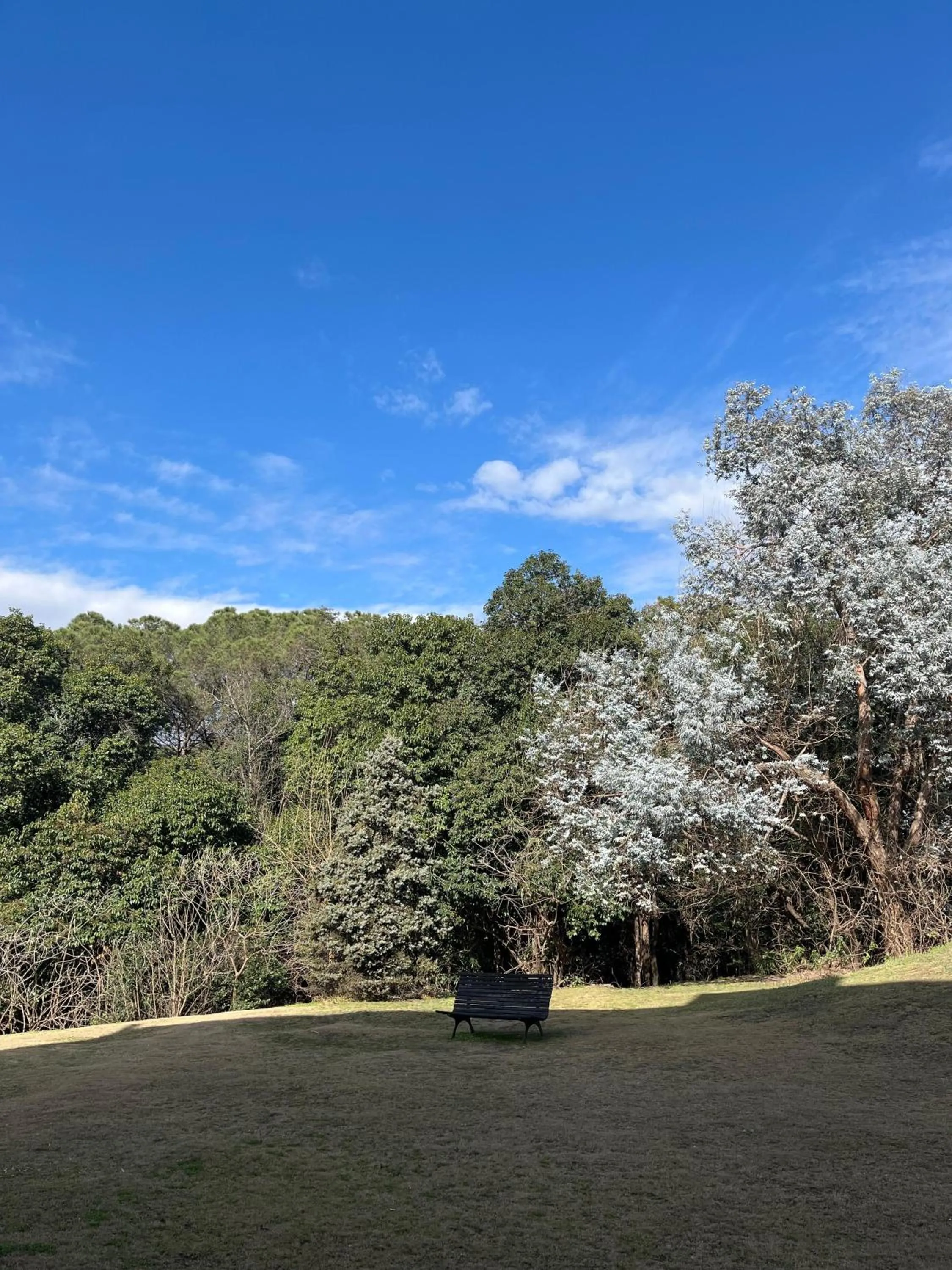 Garden in Howard Johnson Rio Ceballos Hotel y Casino