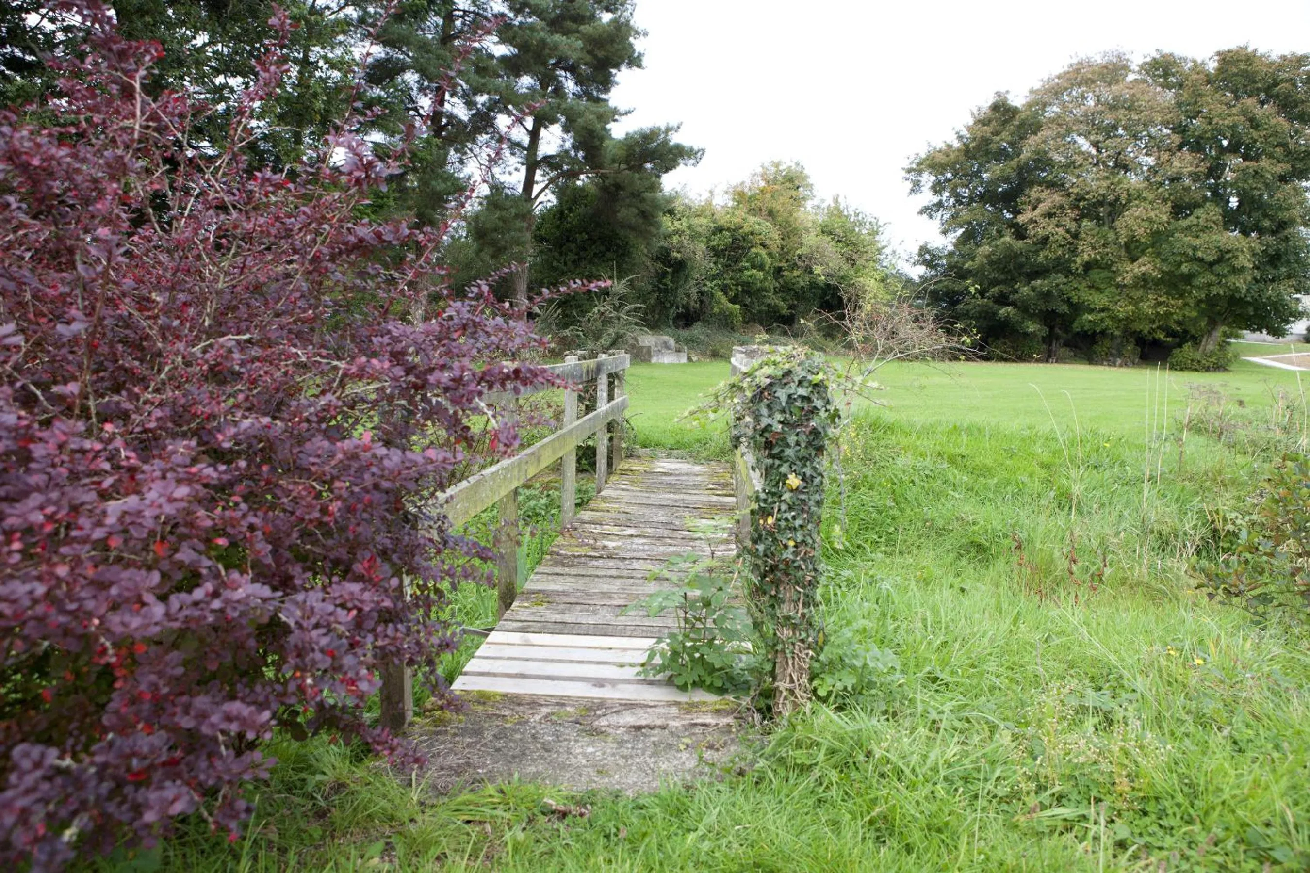 Natural landscape in St Kyrans Guest House