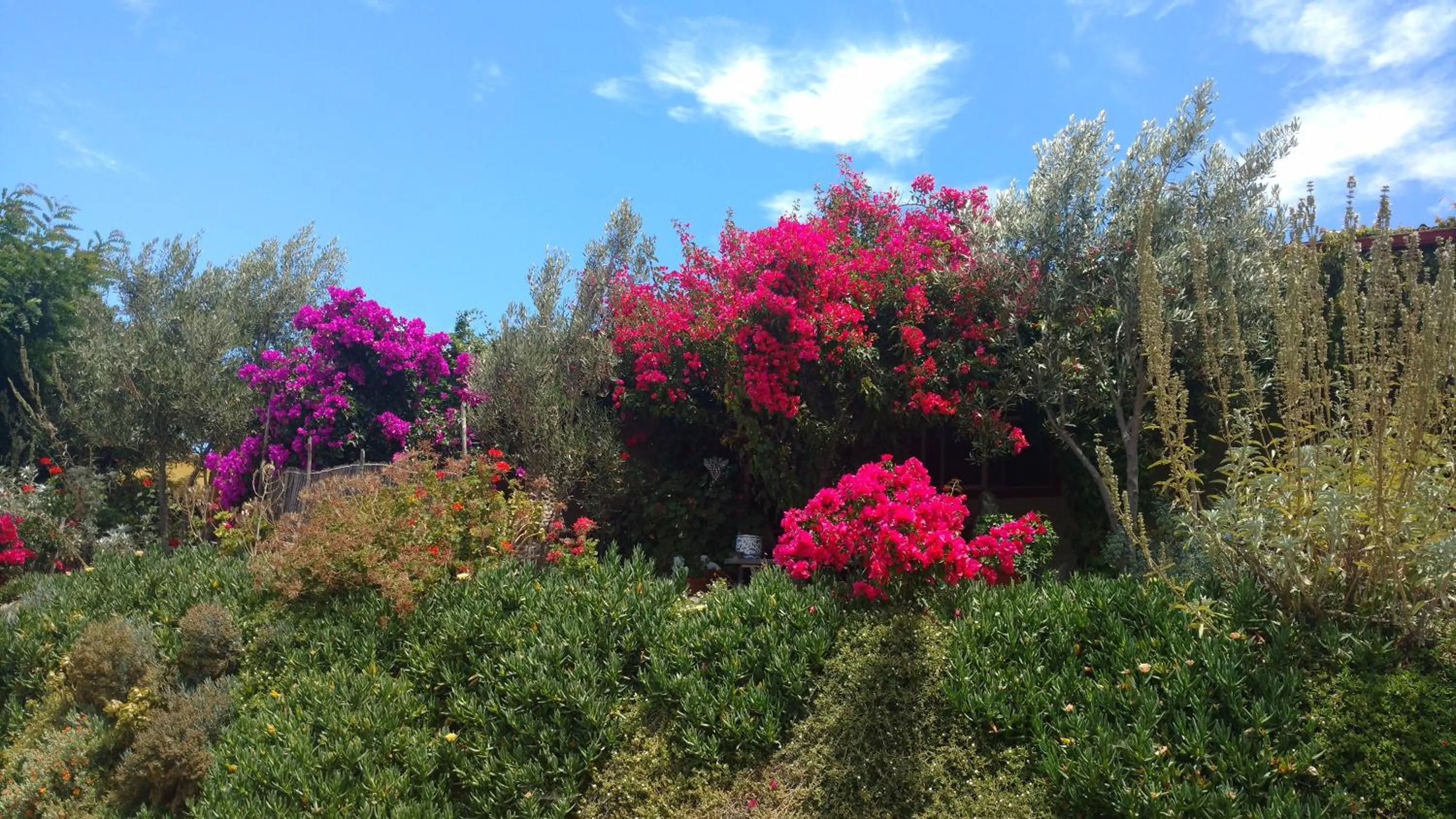 Property building in Vinofilia Wine Country Inn