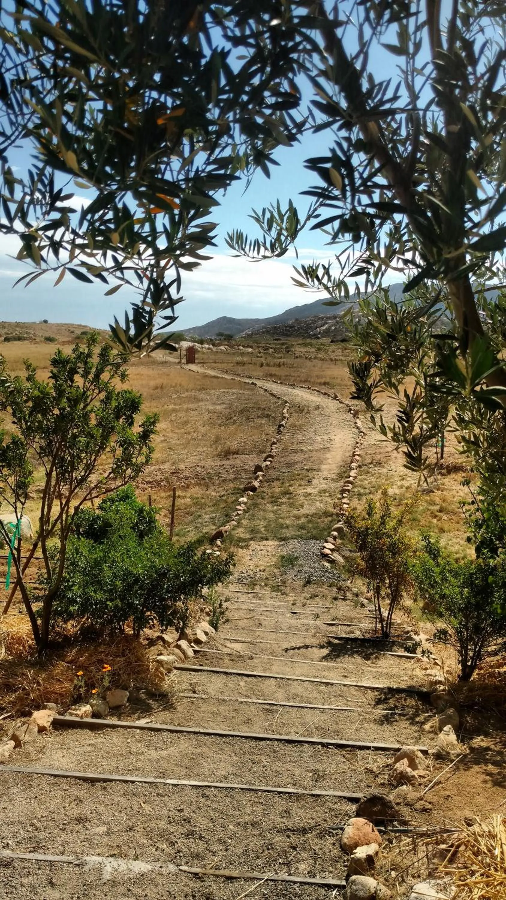 Vinofilia Wine Country Inn