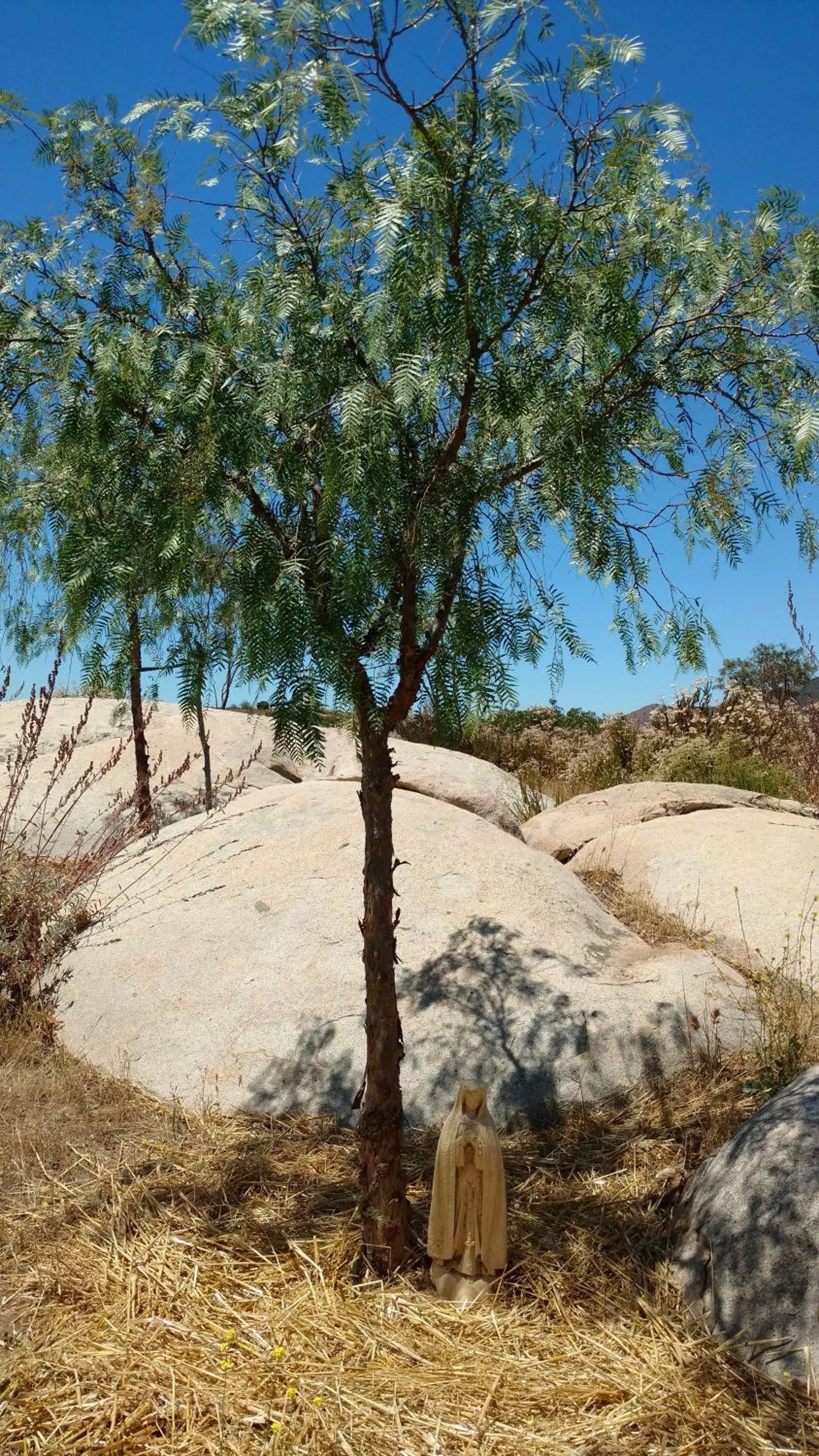 Property building in Vinofilia Wine Country Inn