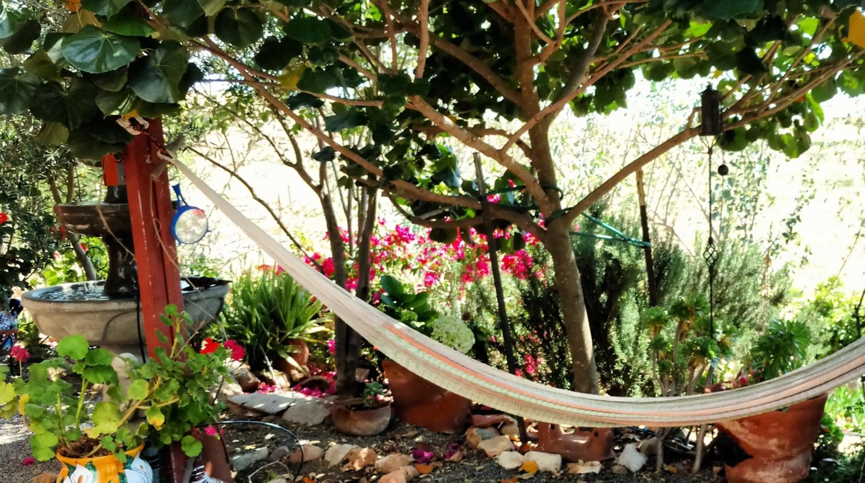 Vinofilia Wine Country Inn