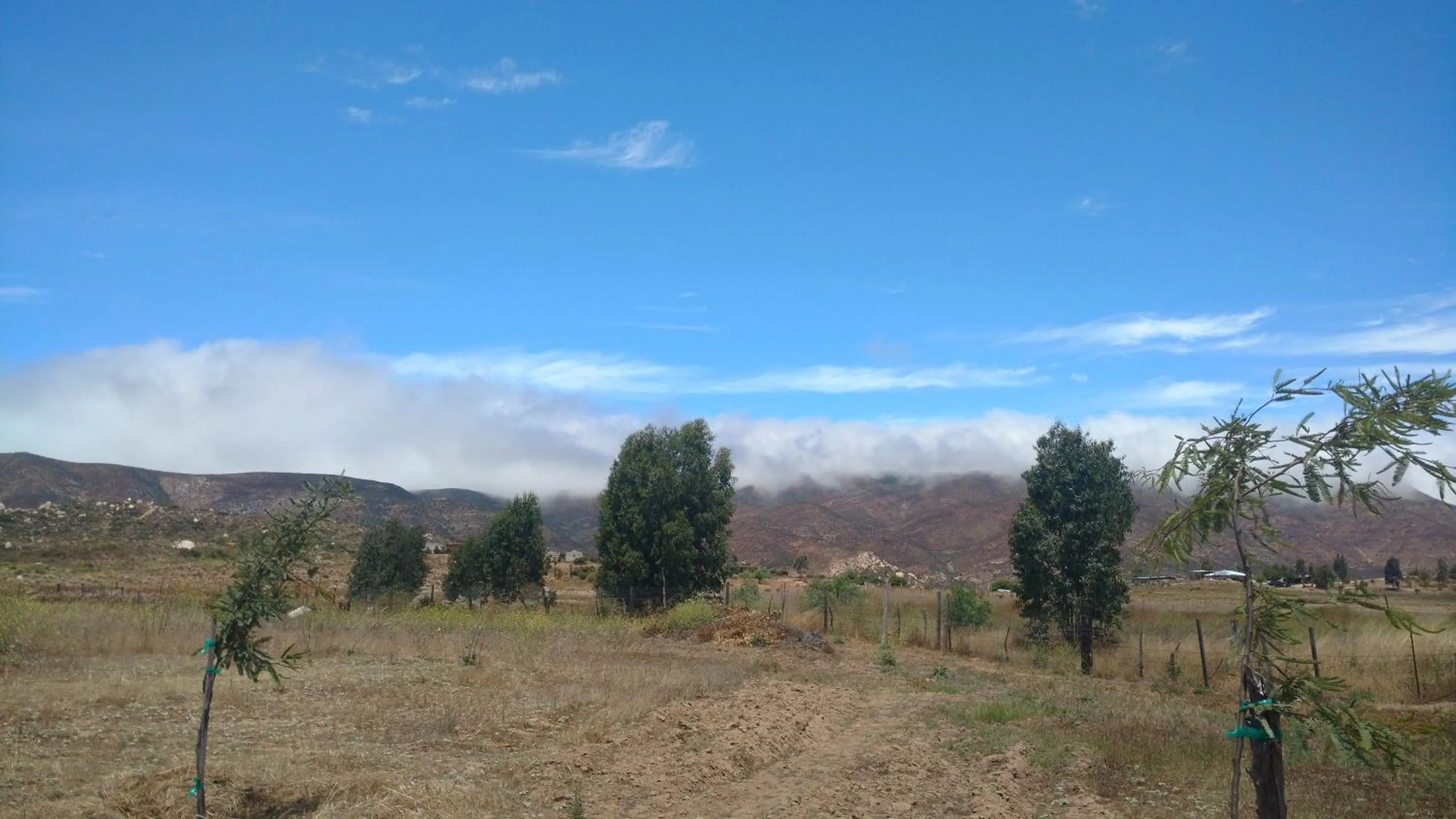 Property building in Vinofilia Wine Country Inn