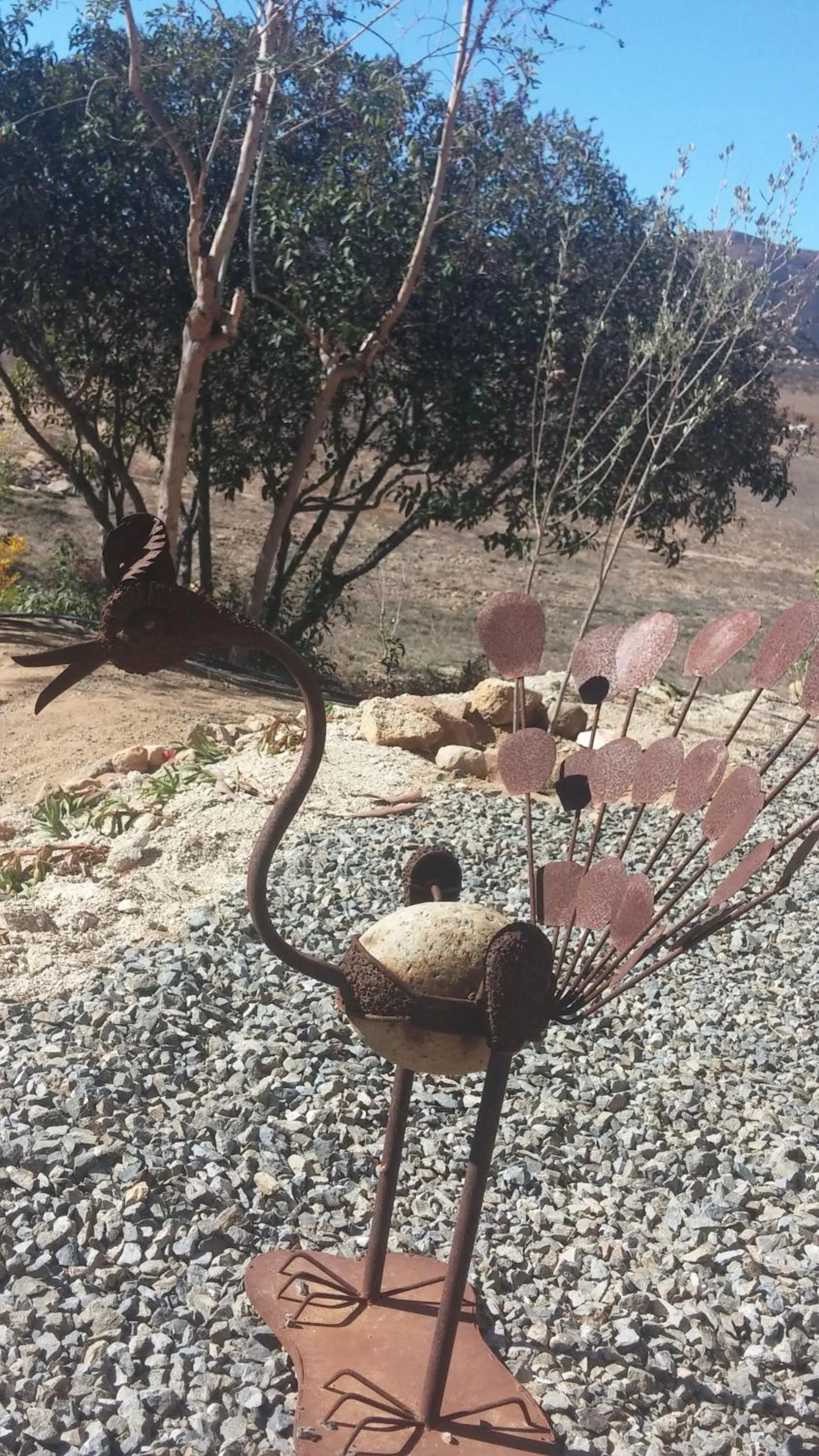 Vinofilia Wine Country Inn