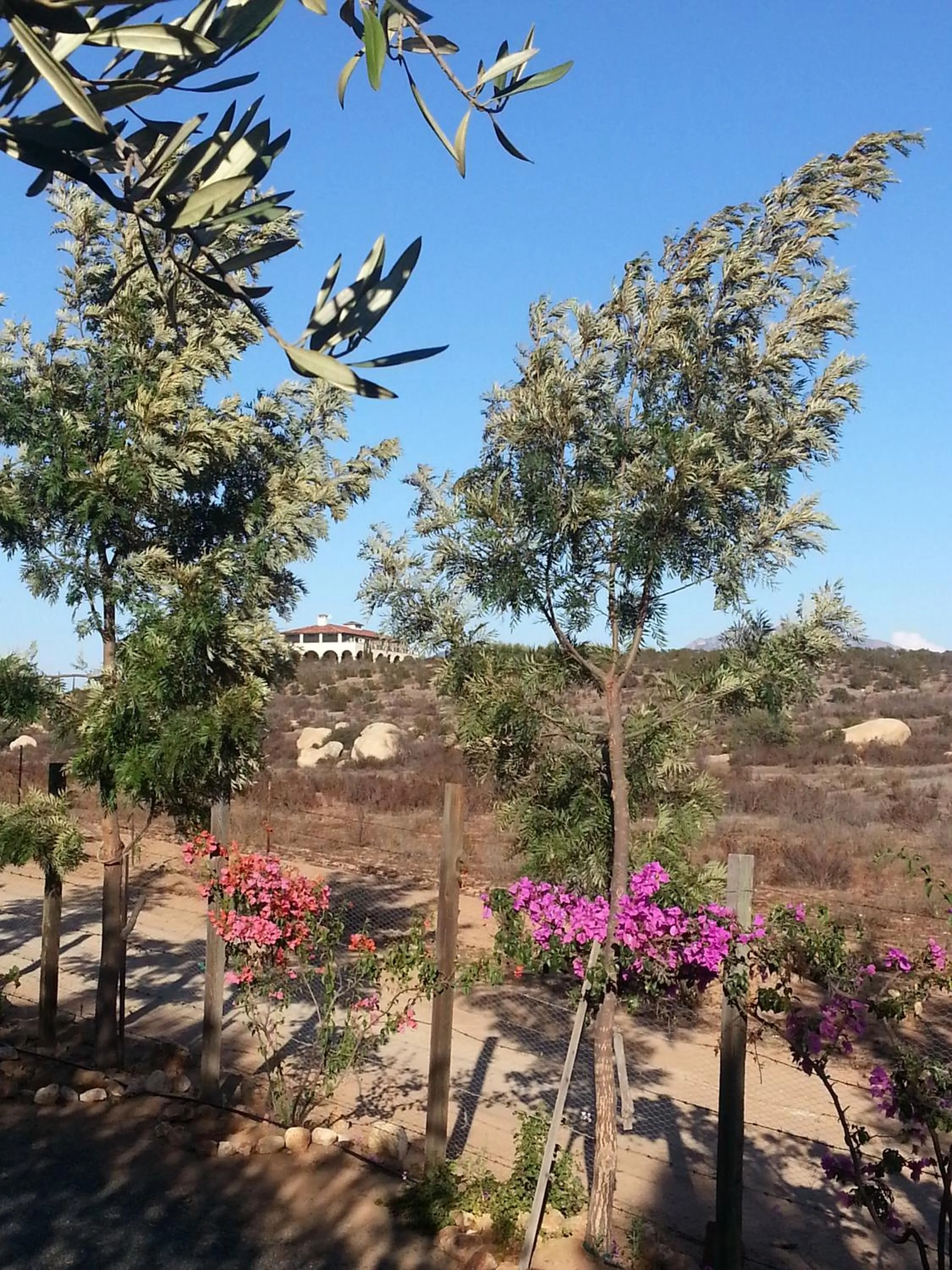 Vinofilia Wine Country Inn