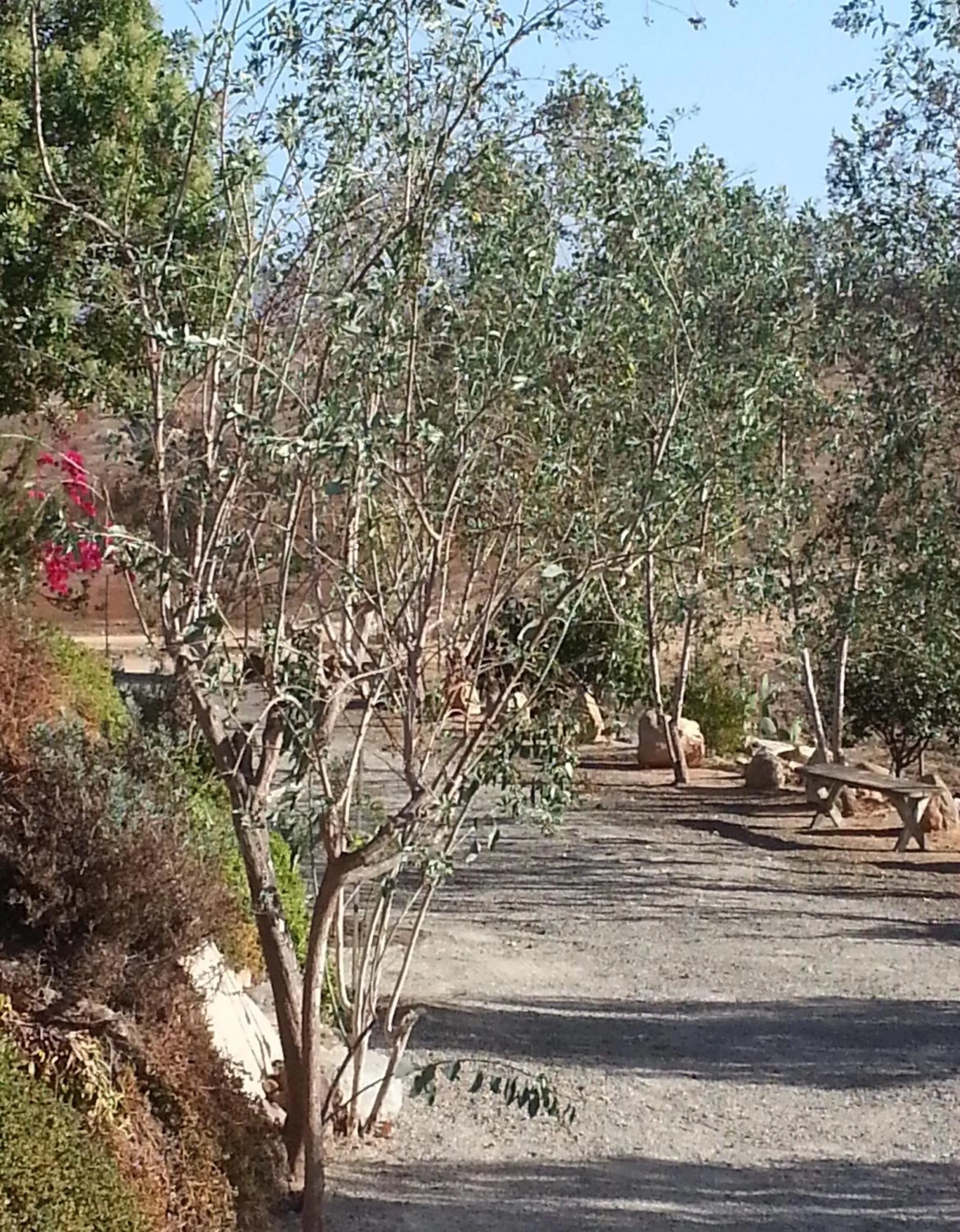 Vinofilia Wine Country Inn