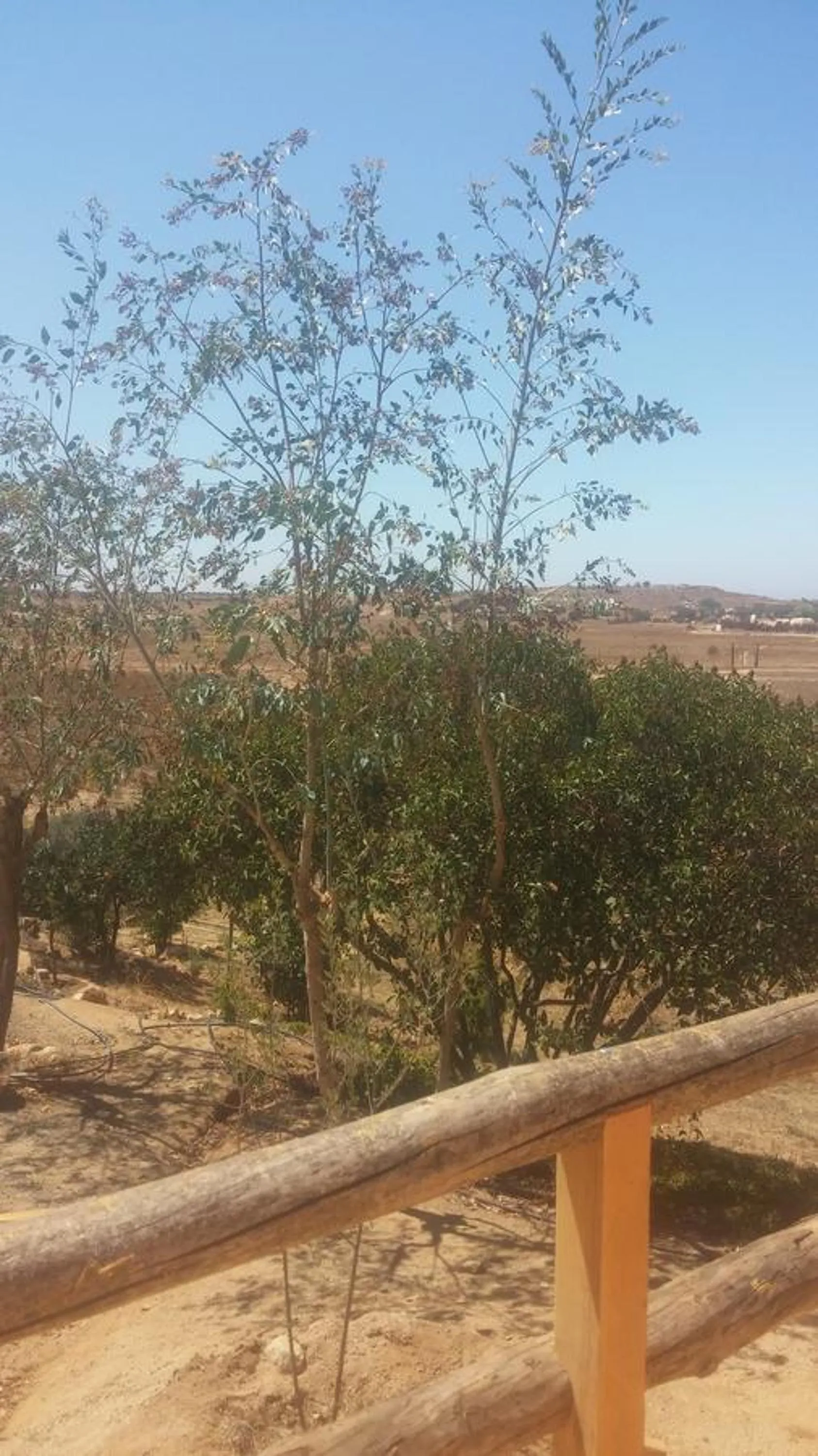 Vinofilia Wine Country Inn