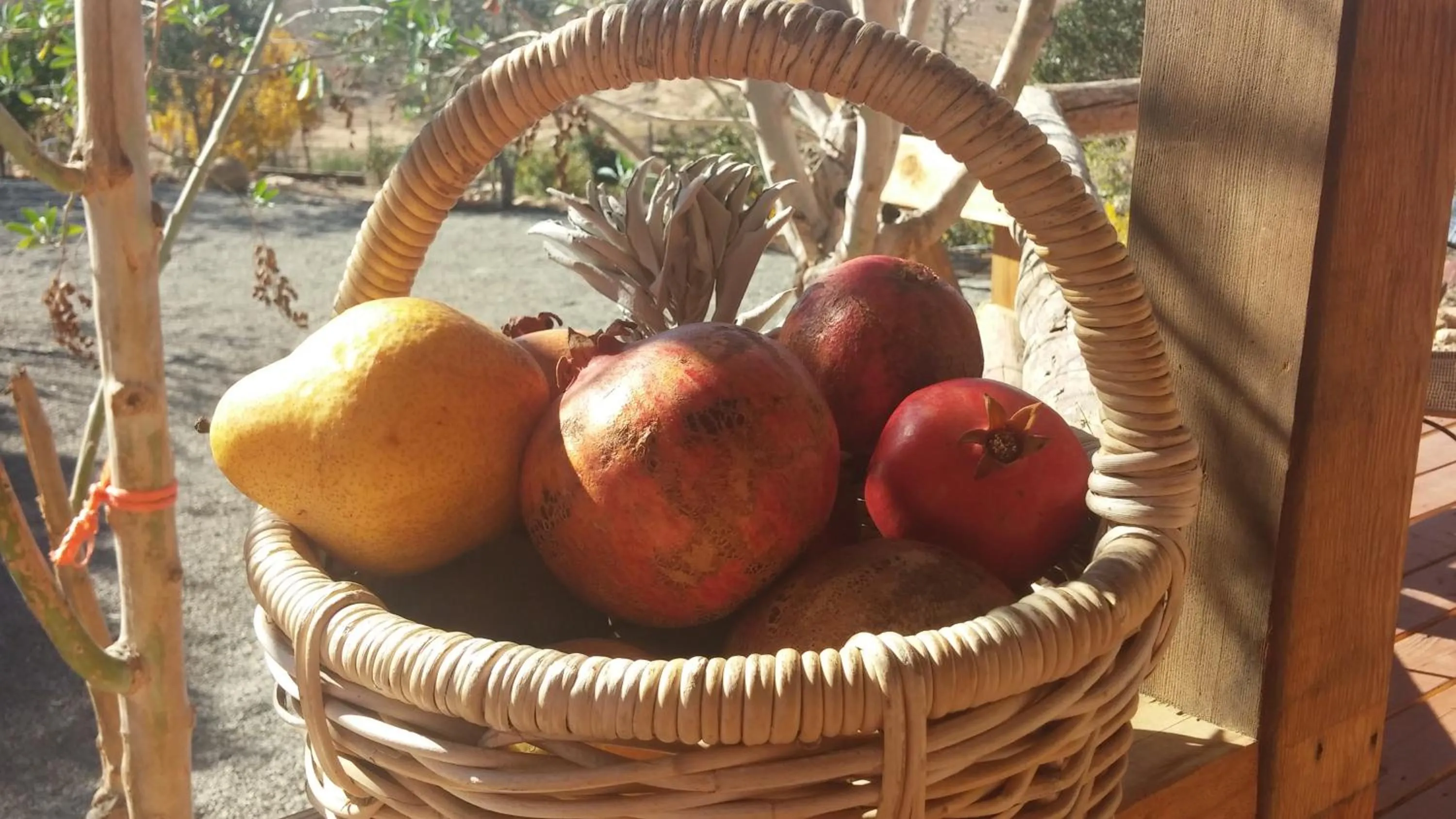 Vinofilia Wine Country Inn