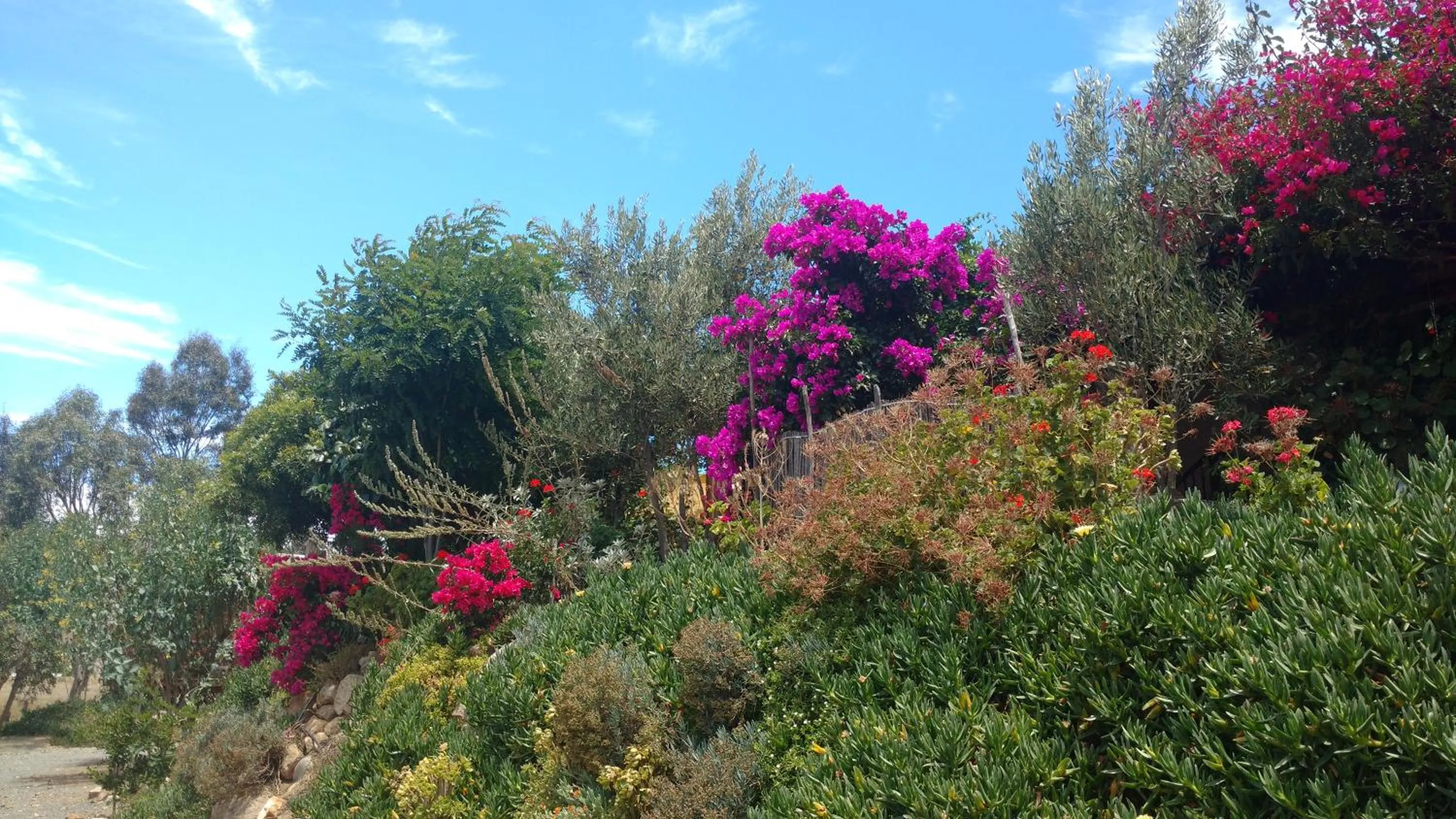 Property building in Vinofilia Wine Country Inn