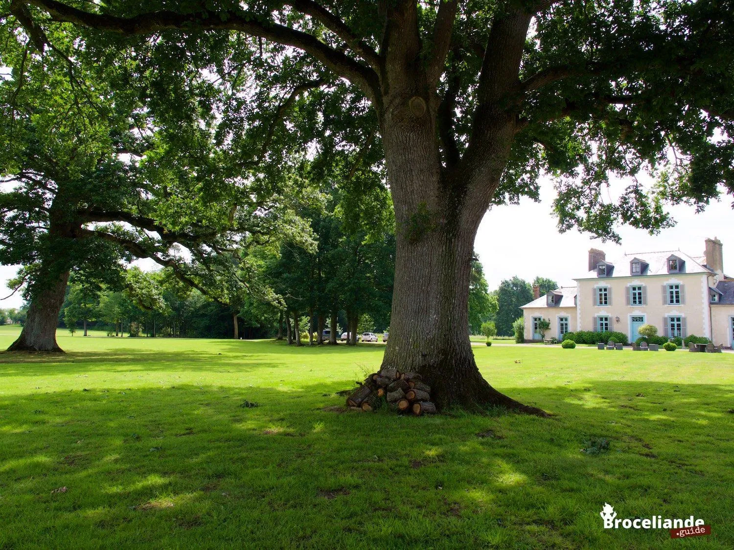 Facade/entrance in Château Du Pin - Teritoria