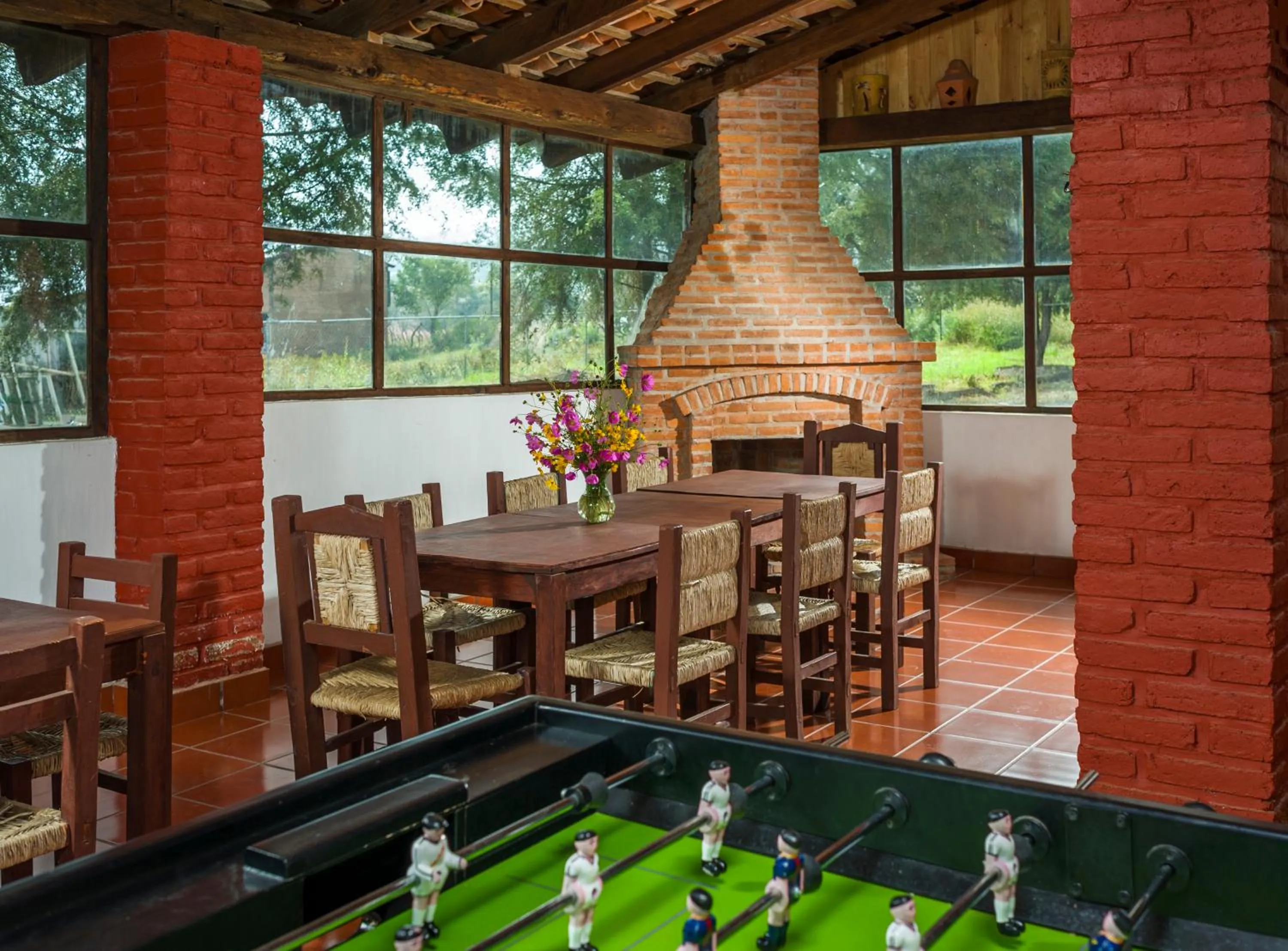 Game Room in Hotel de Campiña