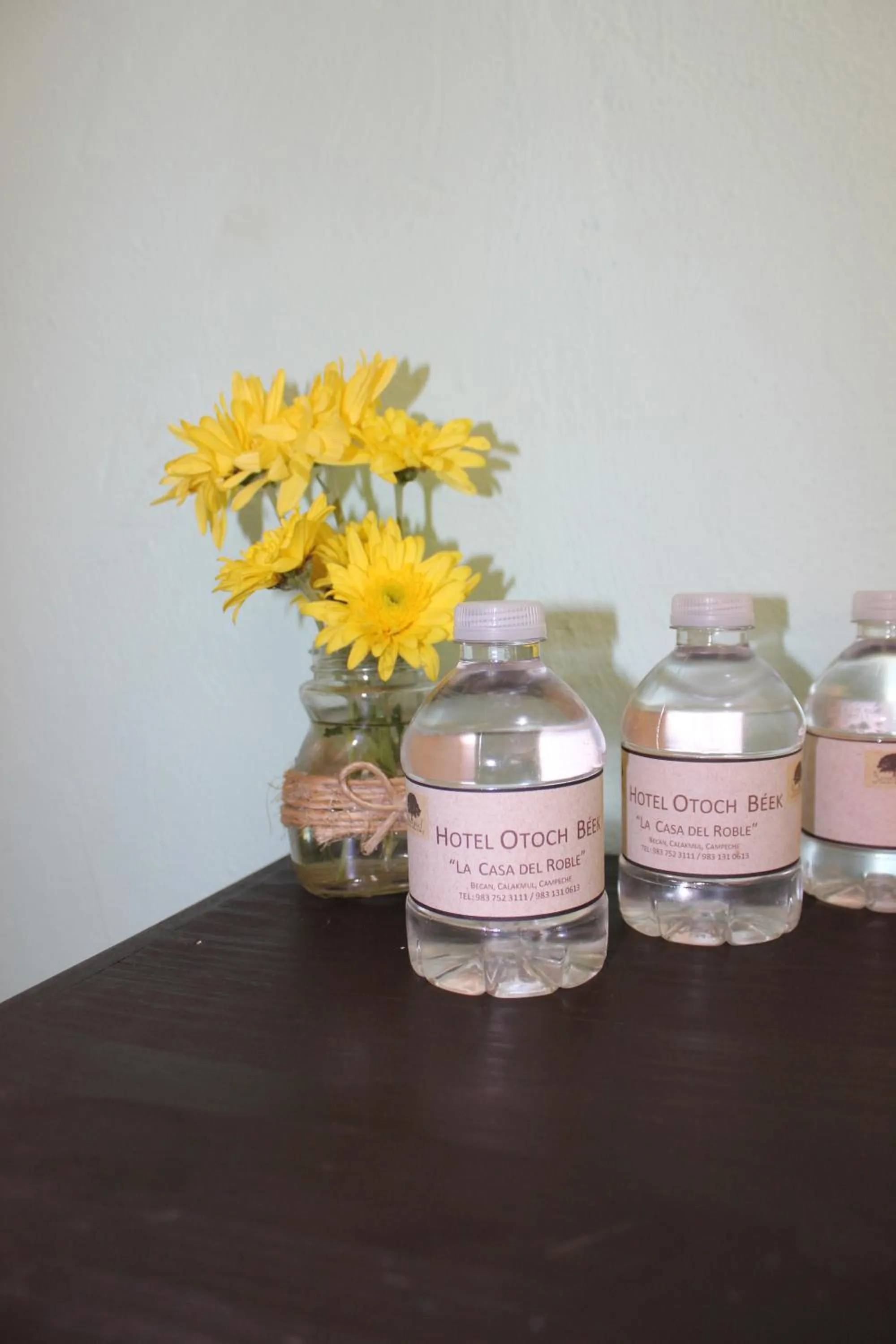 Other in Otoch Béek Calakmul