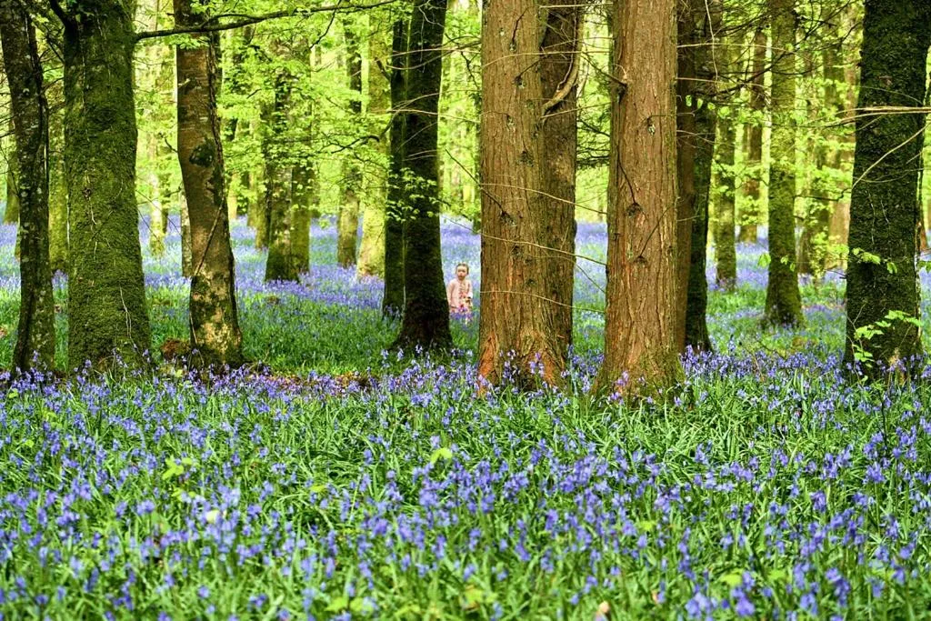 Rosdarrig Bed & Breakfast