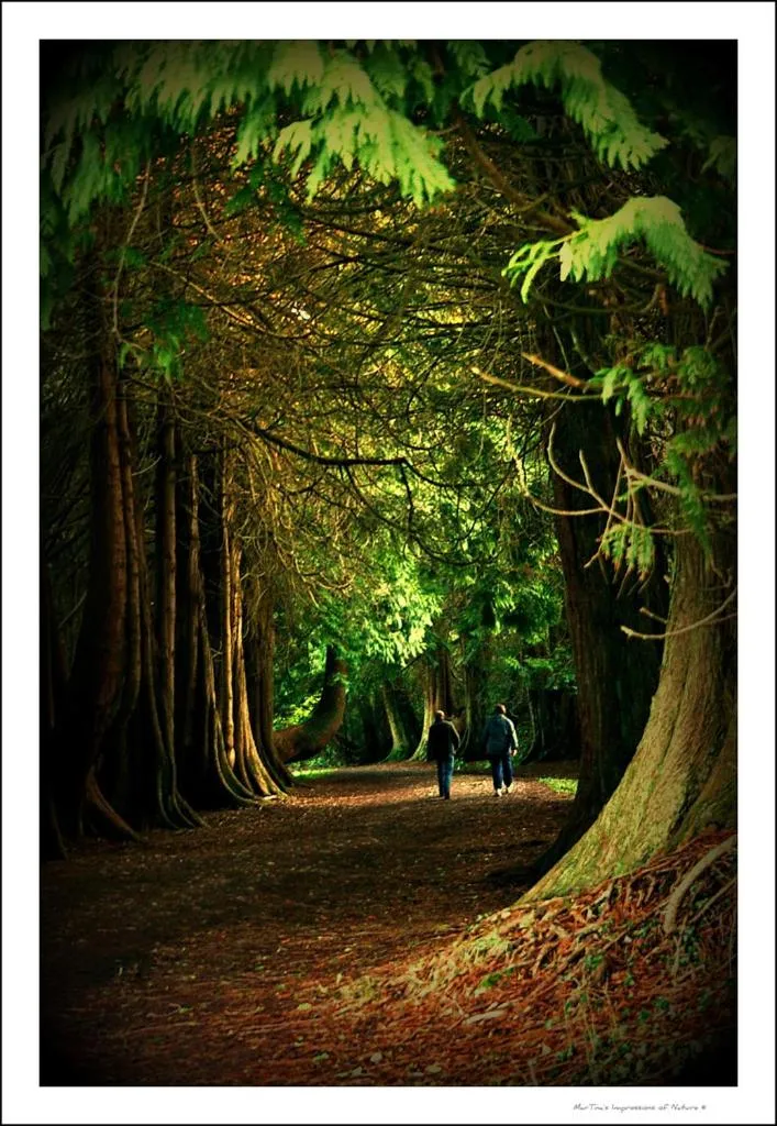 Rosdarrig Bed & Breakfast