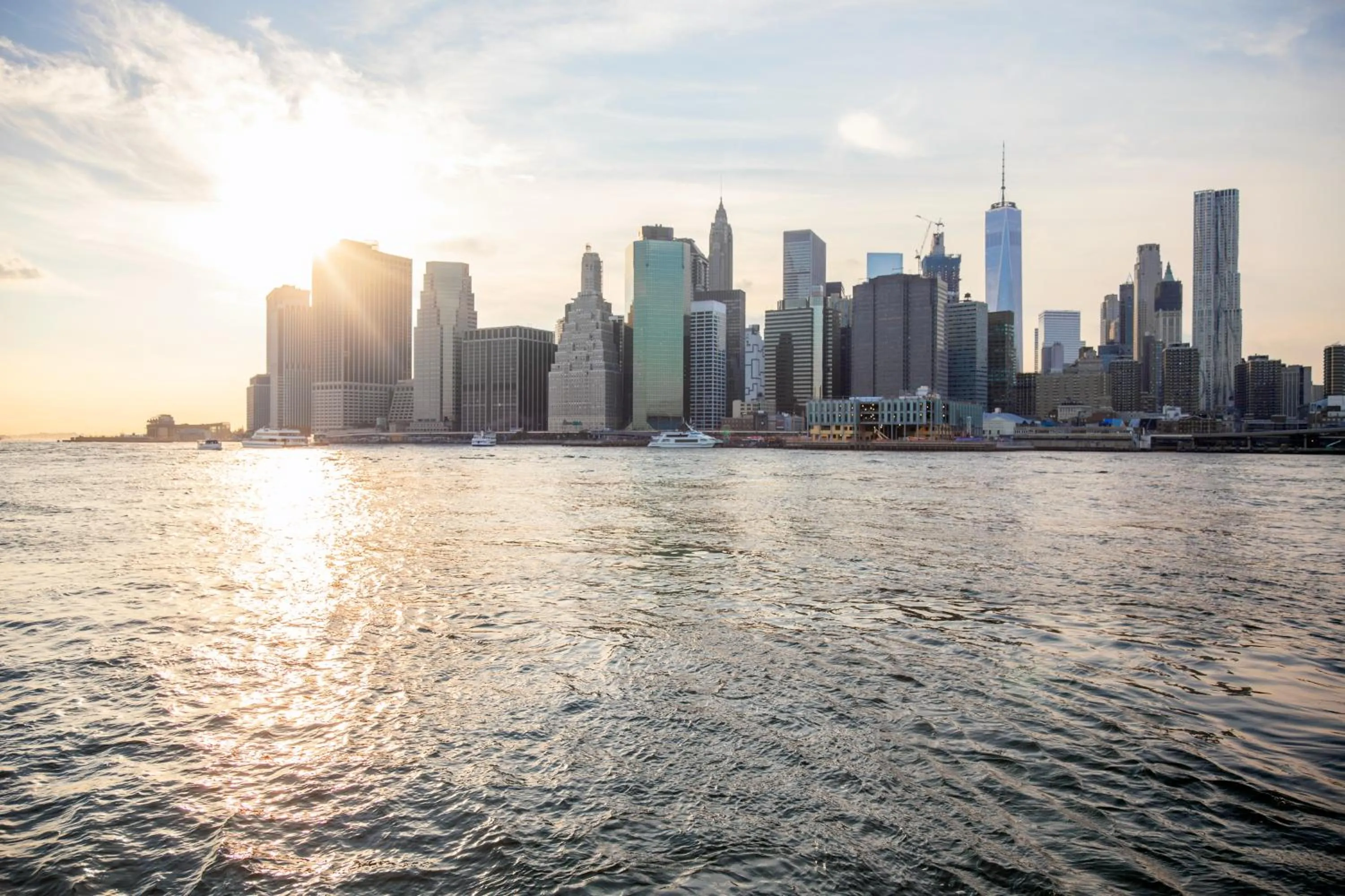 Other in 1 Hotel Brooklyn Bridge