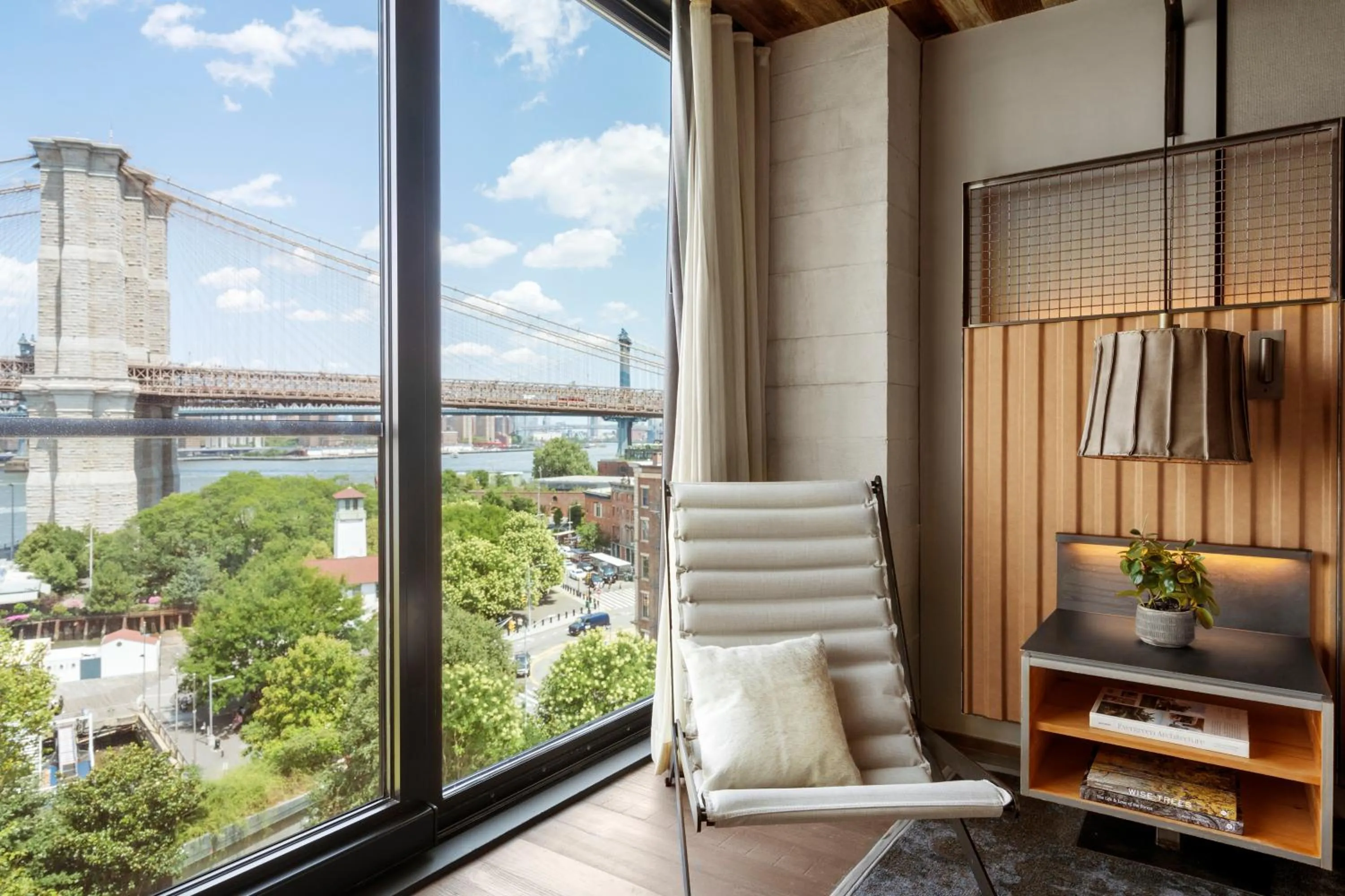 View (from property/room) in 1 Hotel Brooklyn Bridge