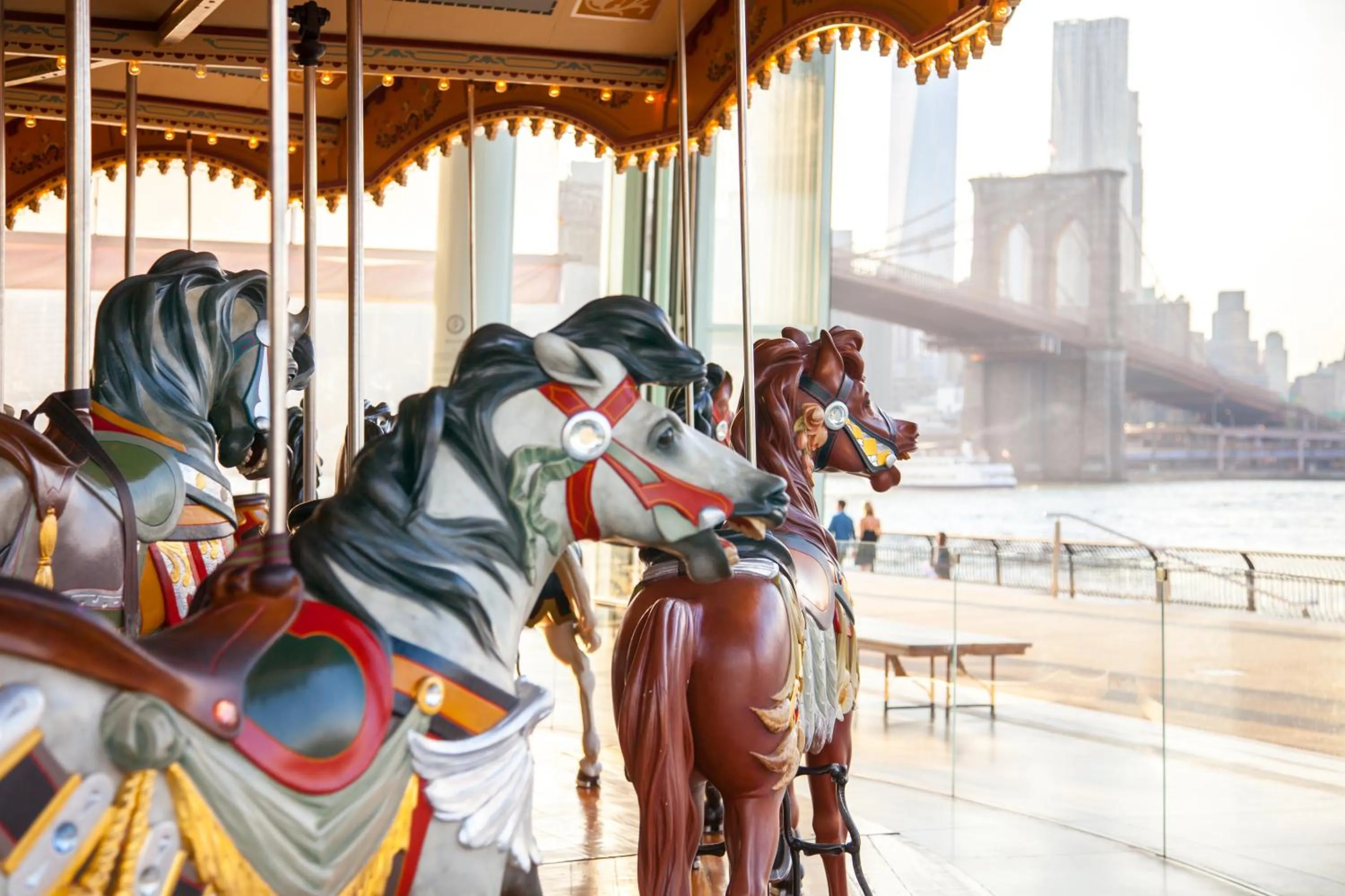 Other in 1 Hotel Brooklyn Bridge