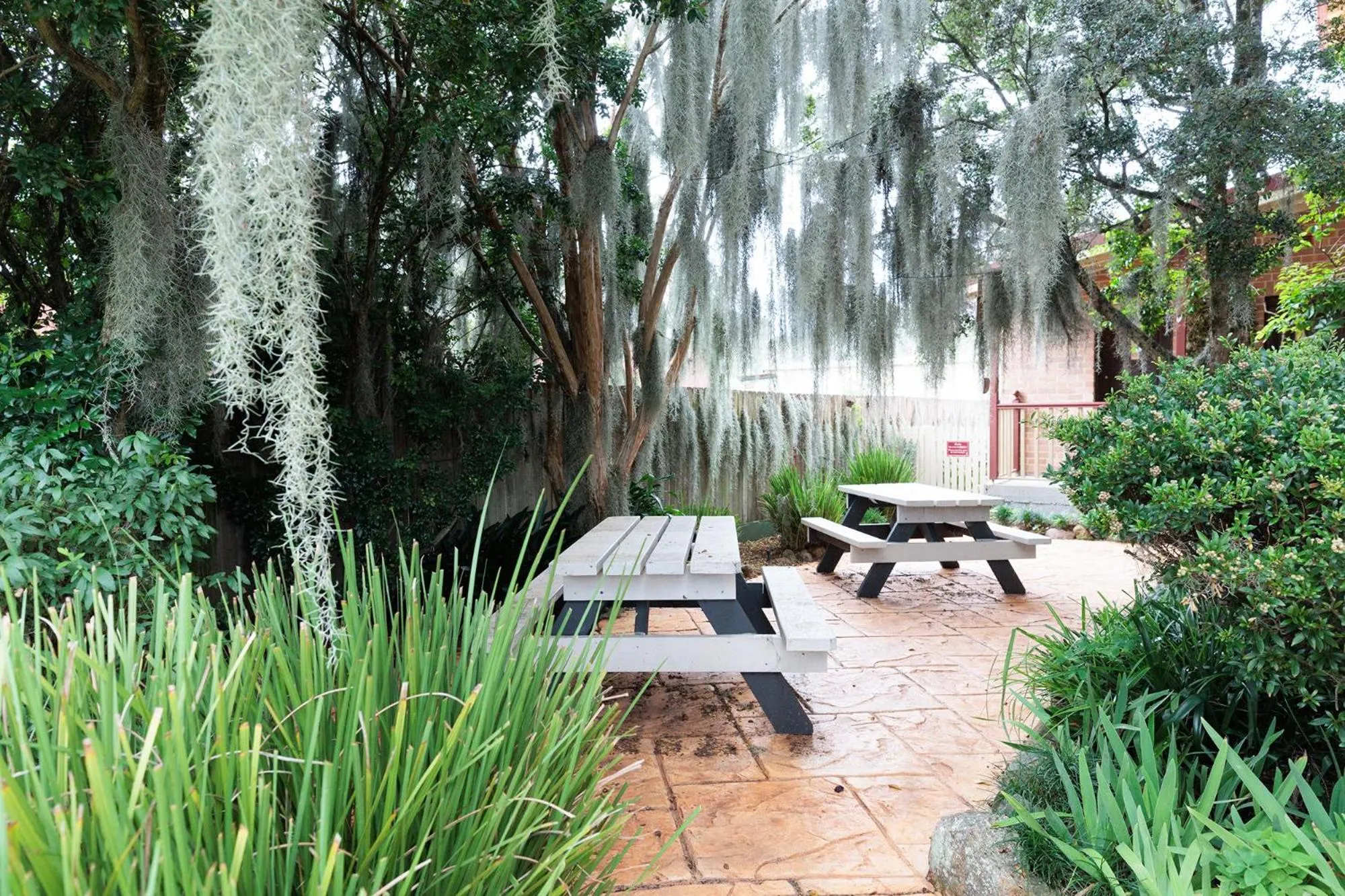 Garden in Kings and Queens Paterson