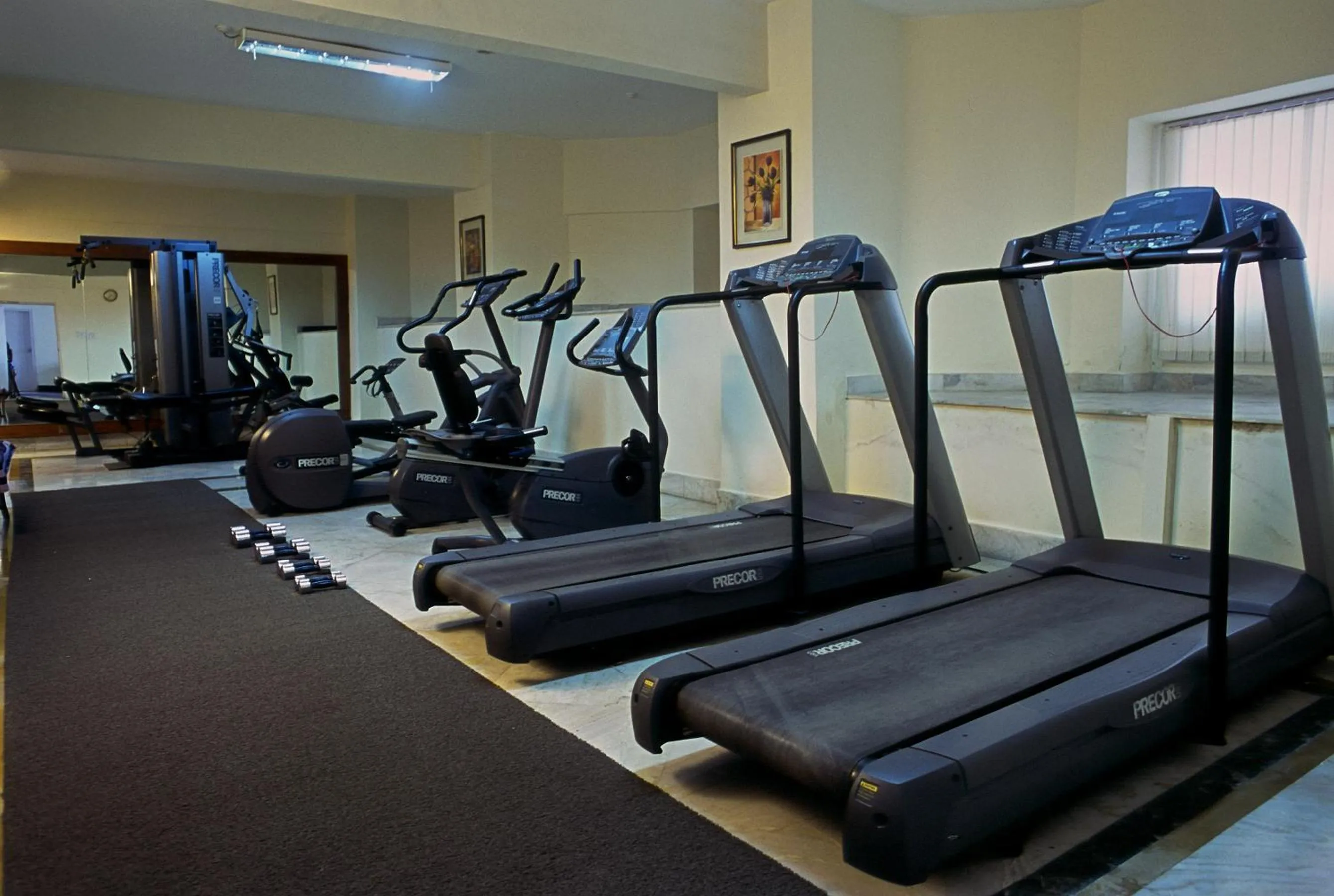 Fitness centre/facilities in Katriya Hotel and Tower