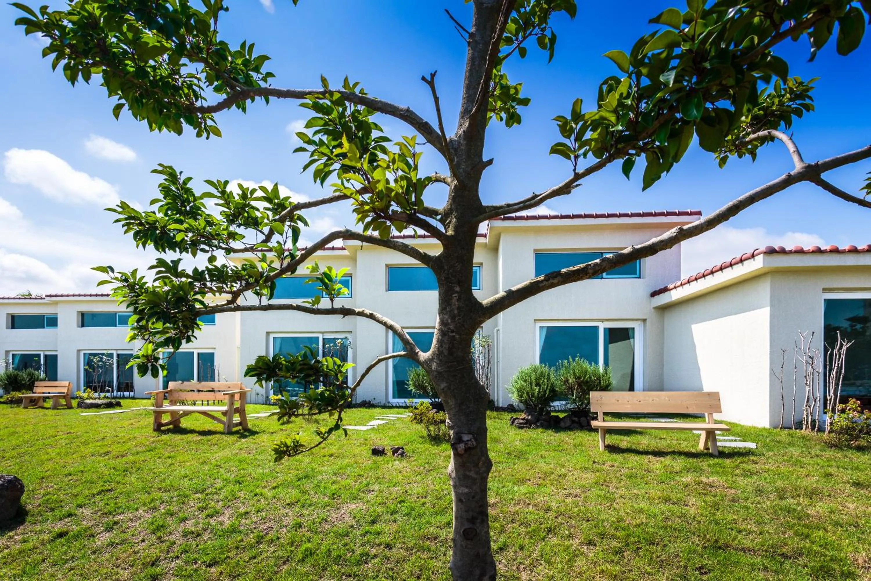 Neighbourhood in Jeju Turning point Pension