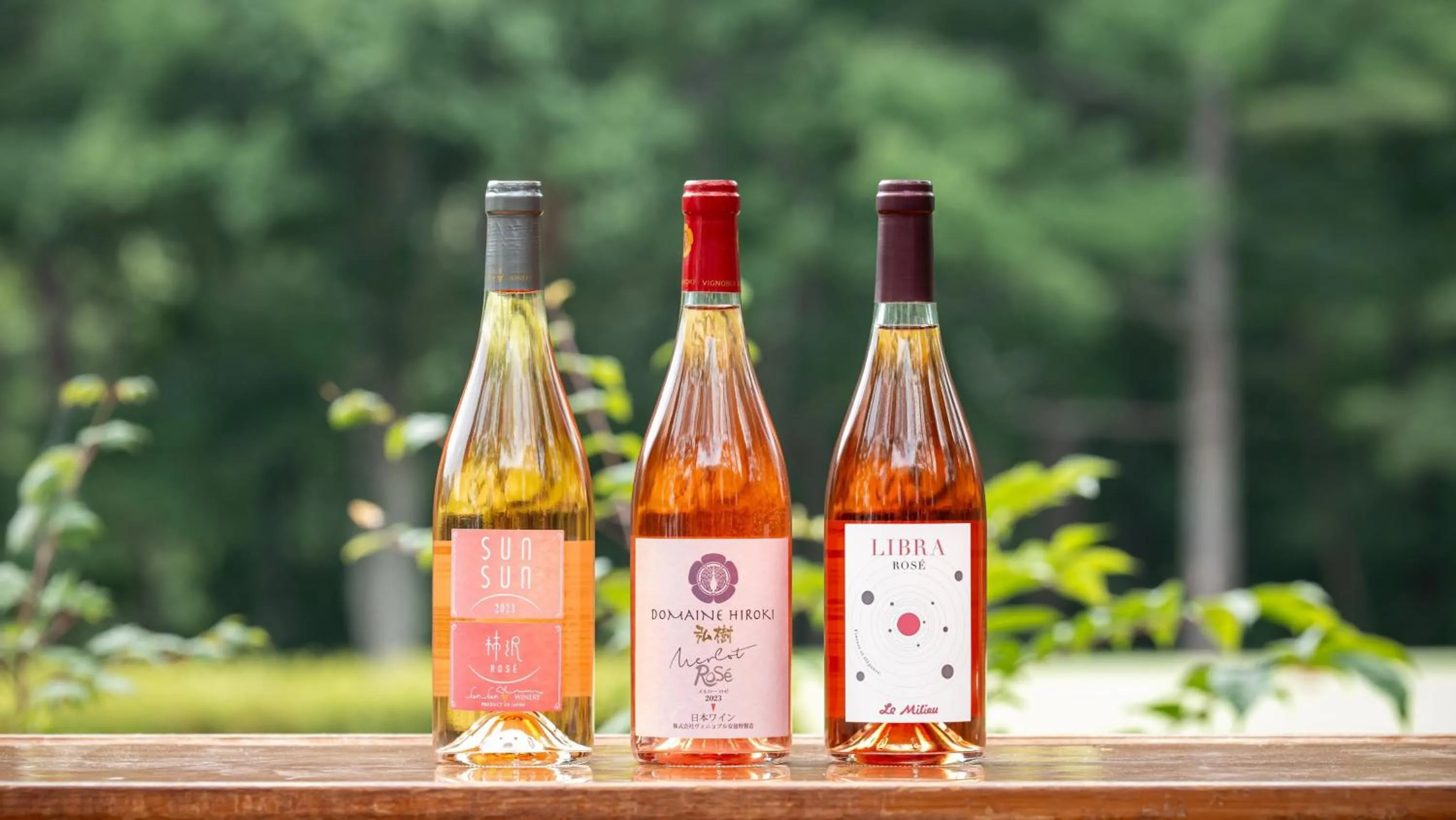 Photo of the whole room in Holiday Inn Resort Shinano-Omachi Kuroyon by IHG