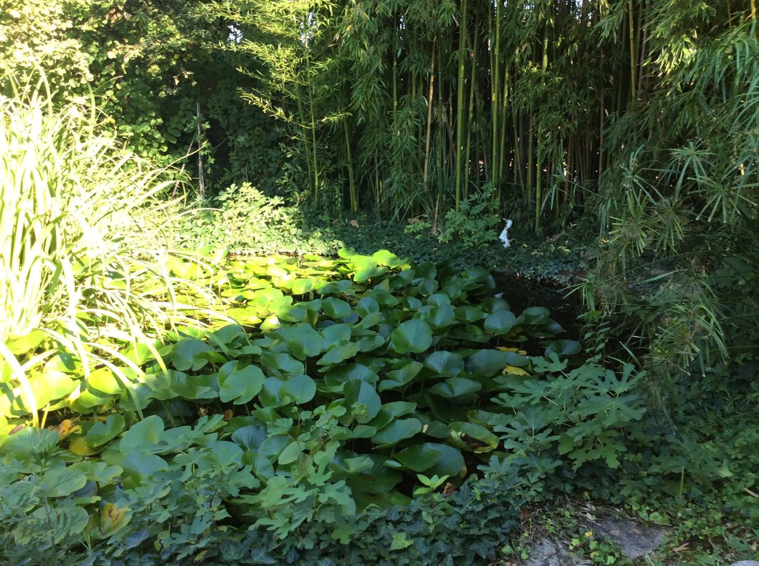 Garden in Bed and breakfast Queen
