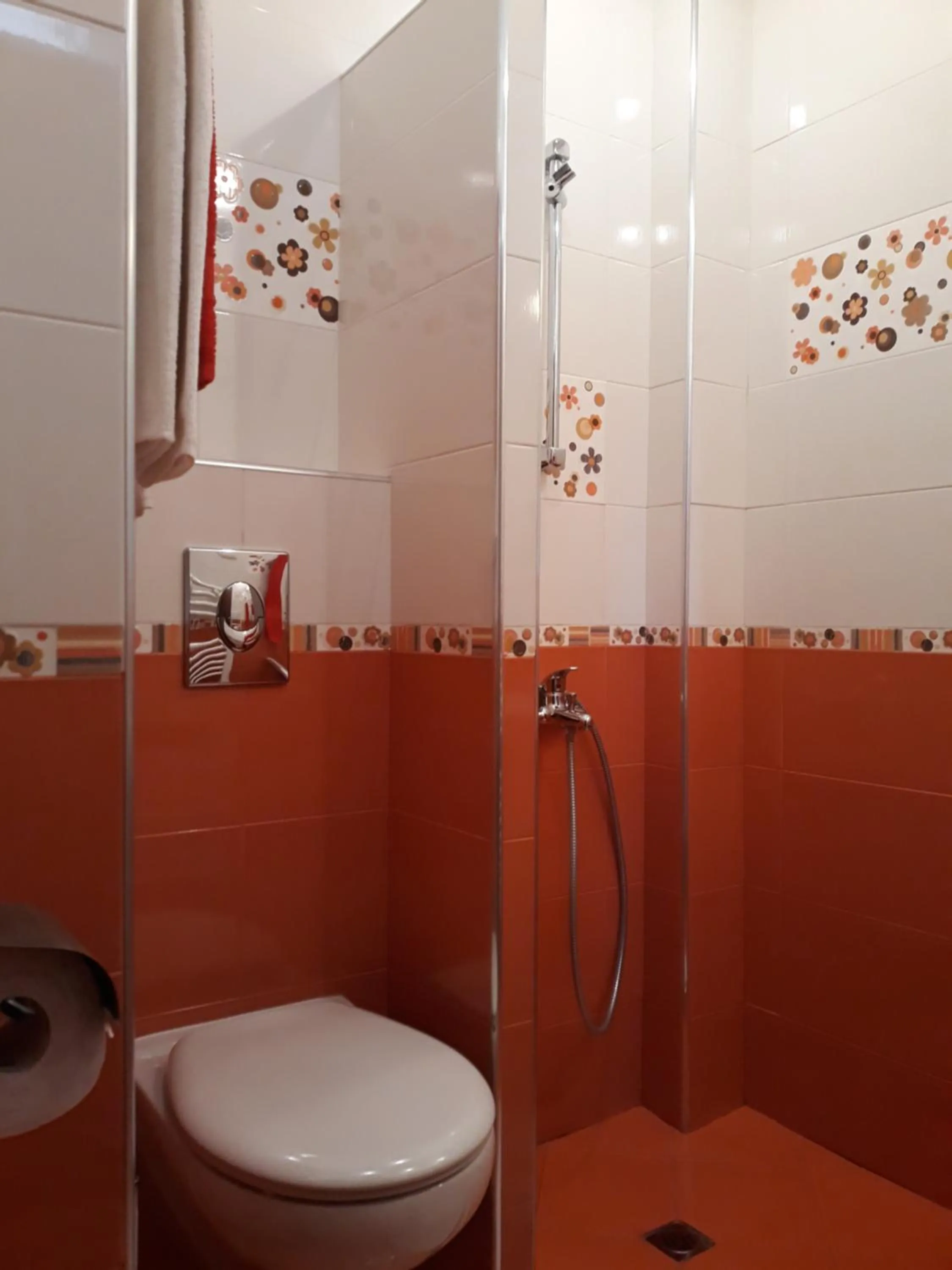 Shower in Family Hotel Radiana