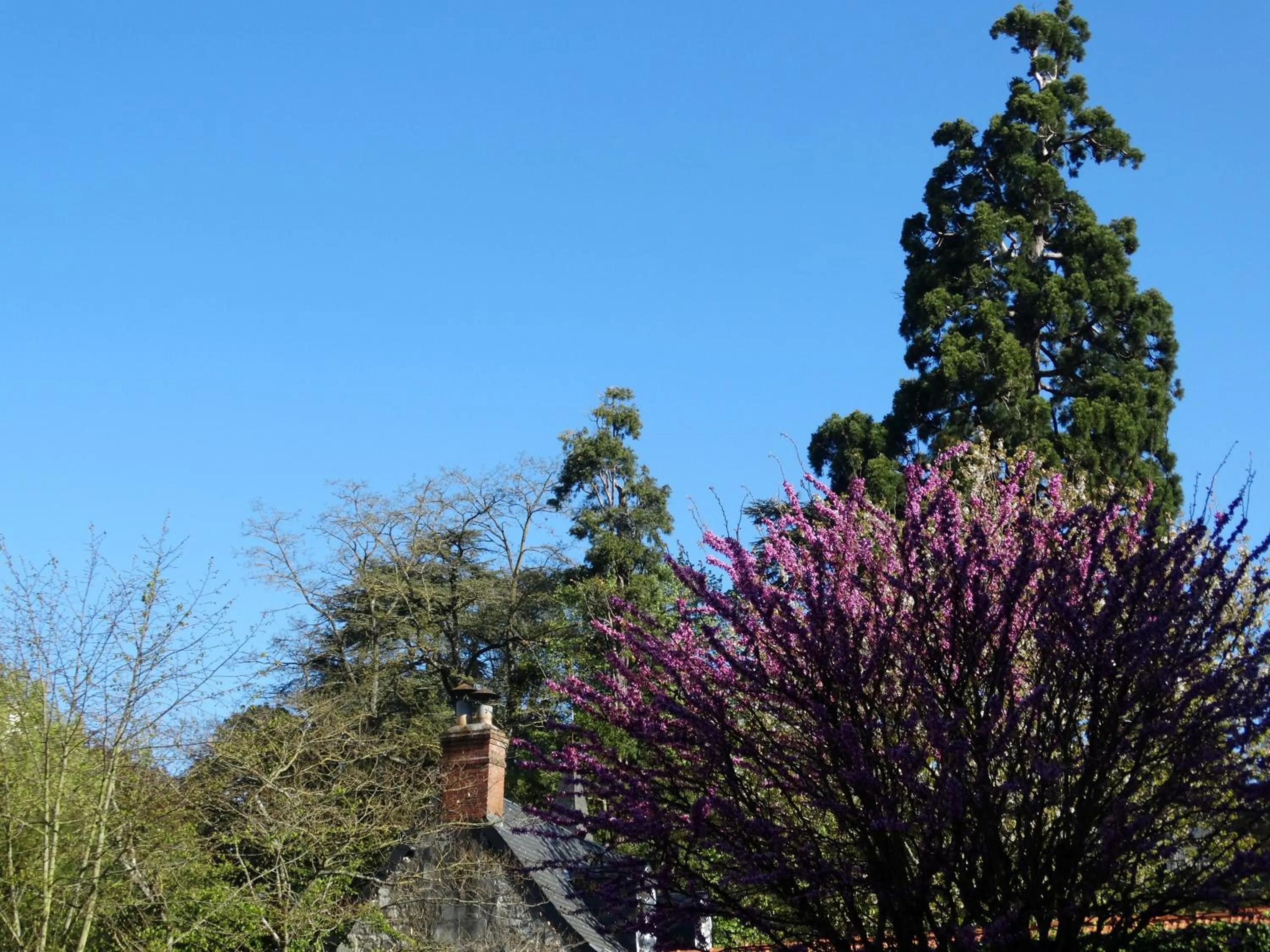 Garden view in Castel Fleuri