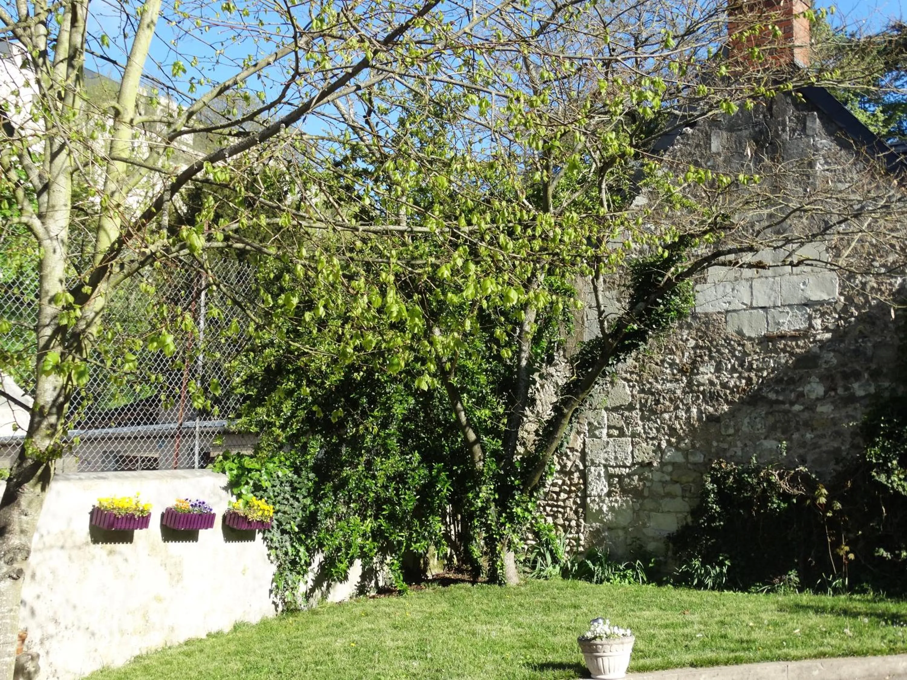 Garden view in Castel Fleuri