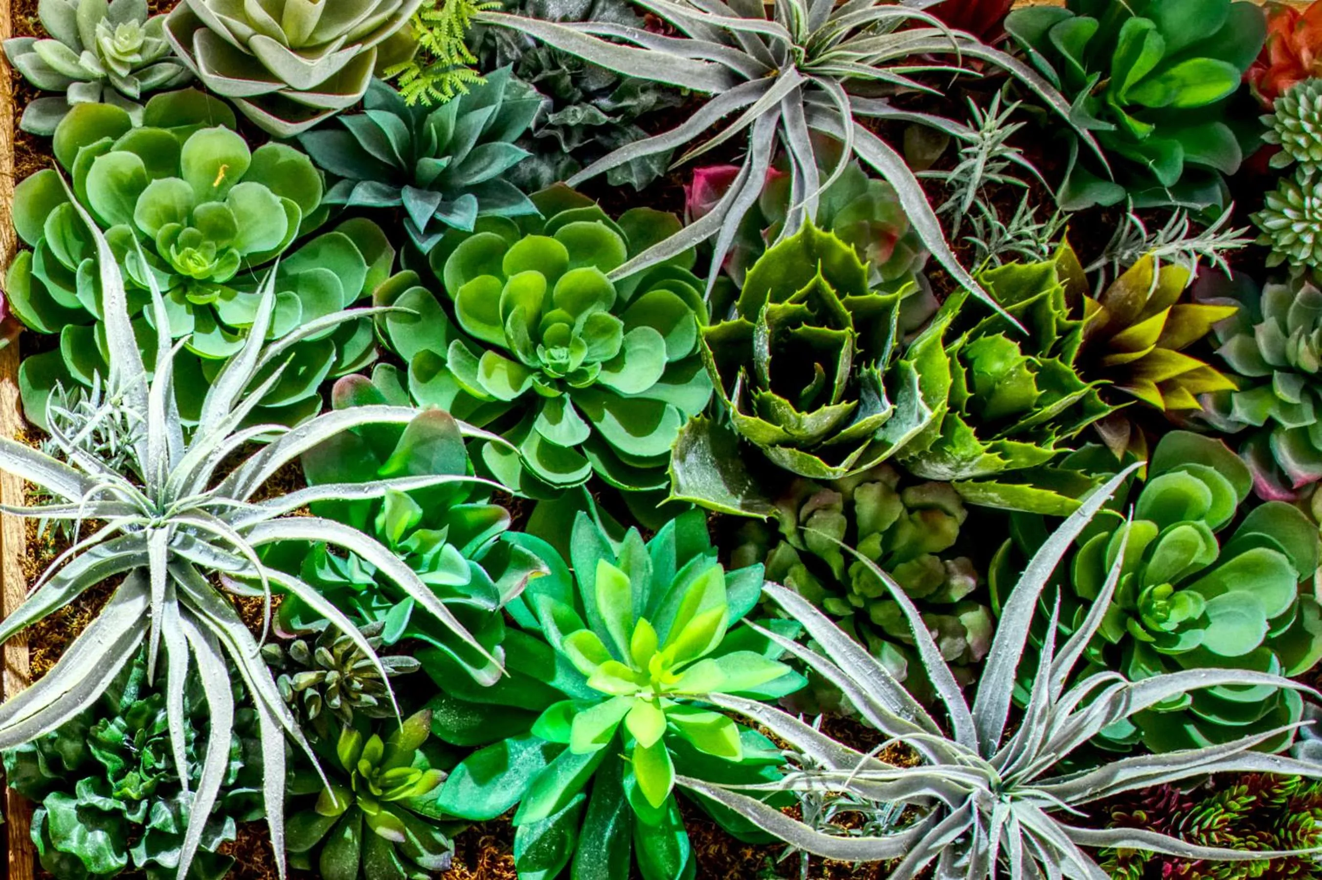 Decorative detail in Chelsea Inn