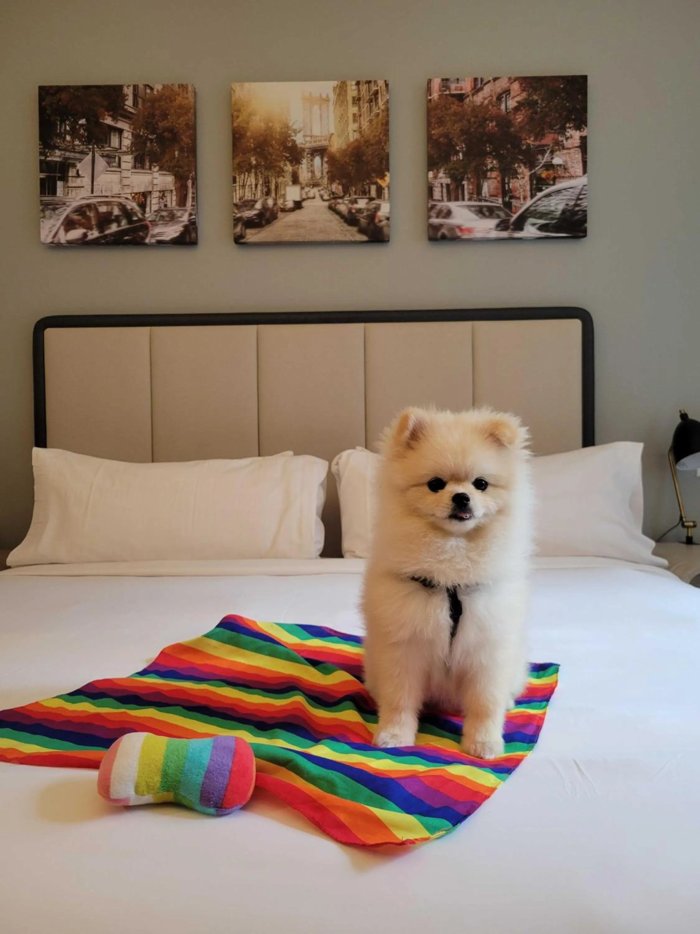 Pets in Citadines Connect Fifth Avenue New York