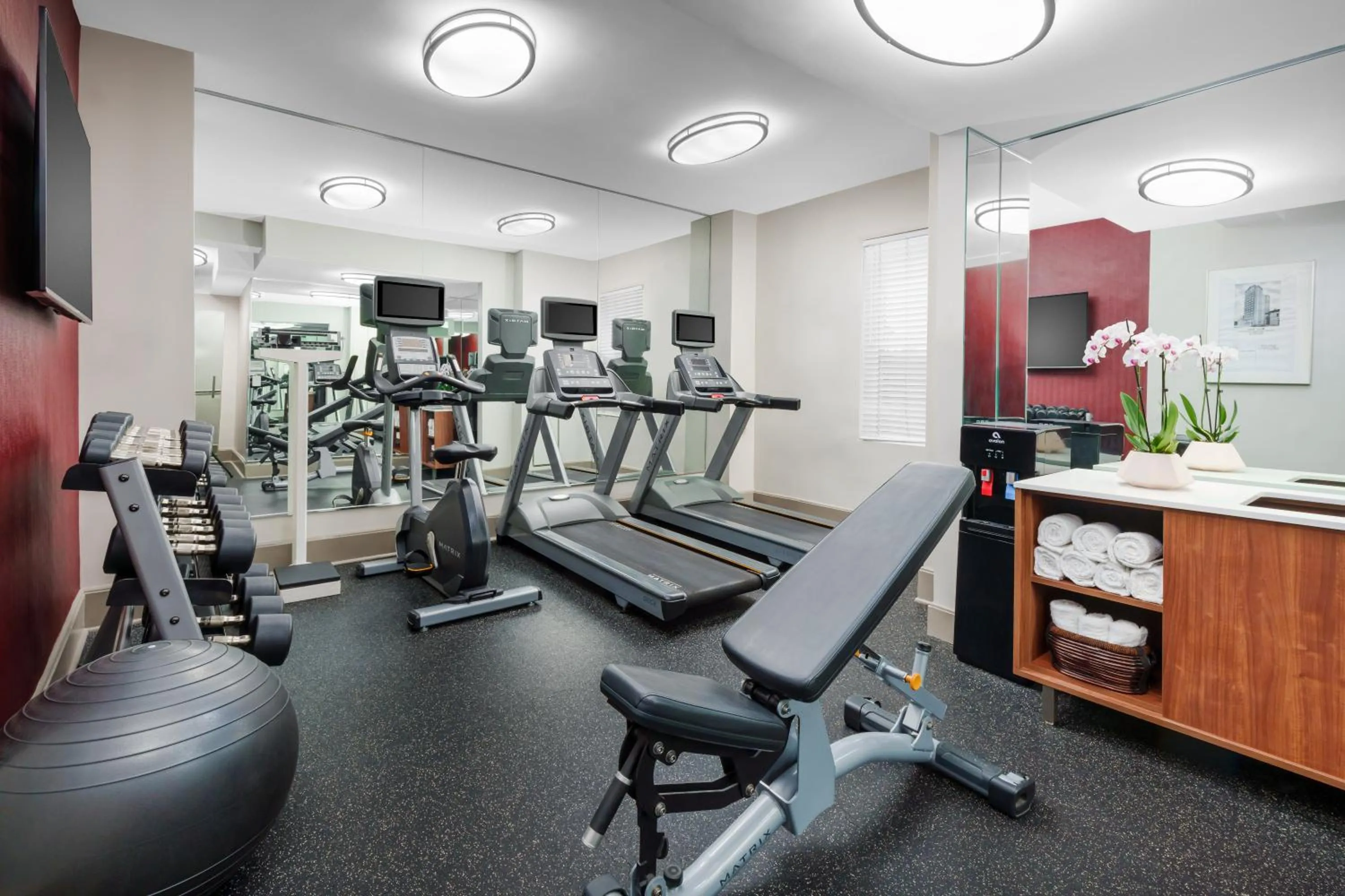 Fitness centre/facilities in Holiday Inn Express Chicago - Magnificent Mile by IHG