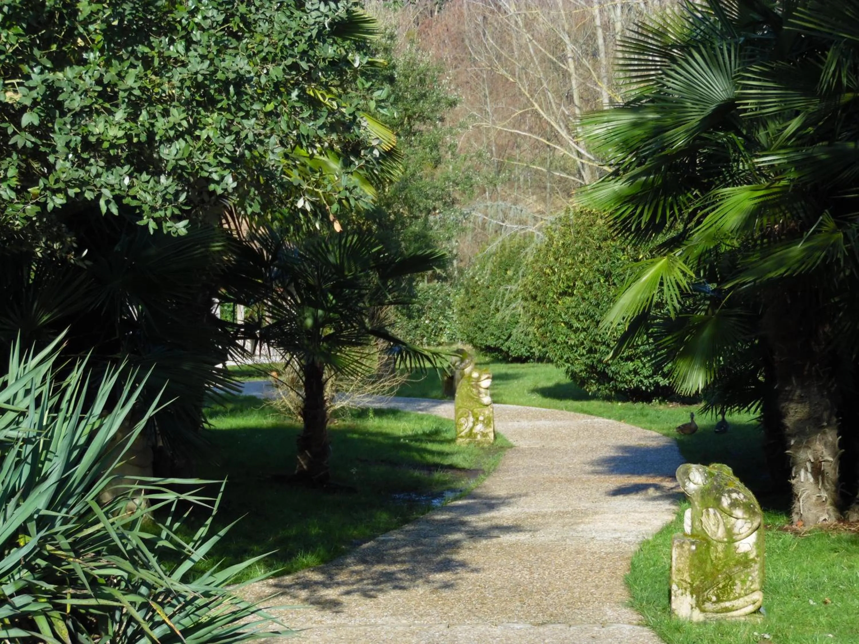 Garden in Les Jardins de Beauval