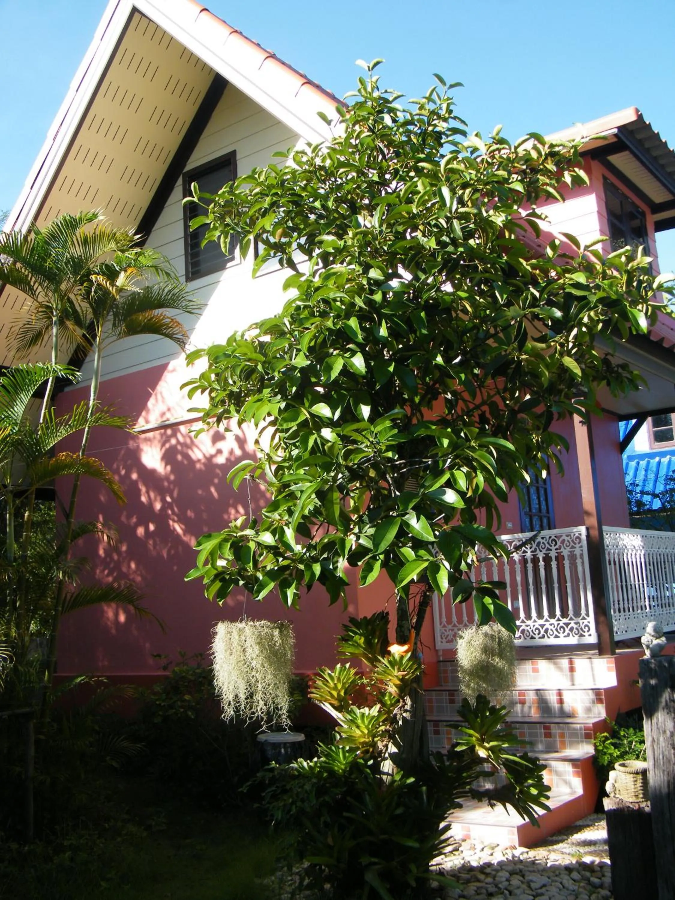 Patio in Ya Teng Homestay