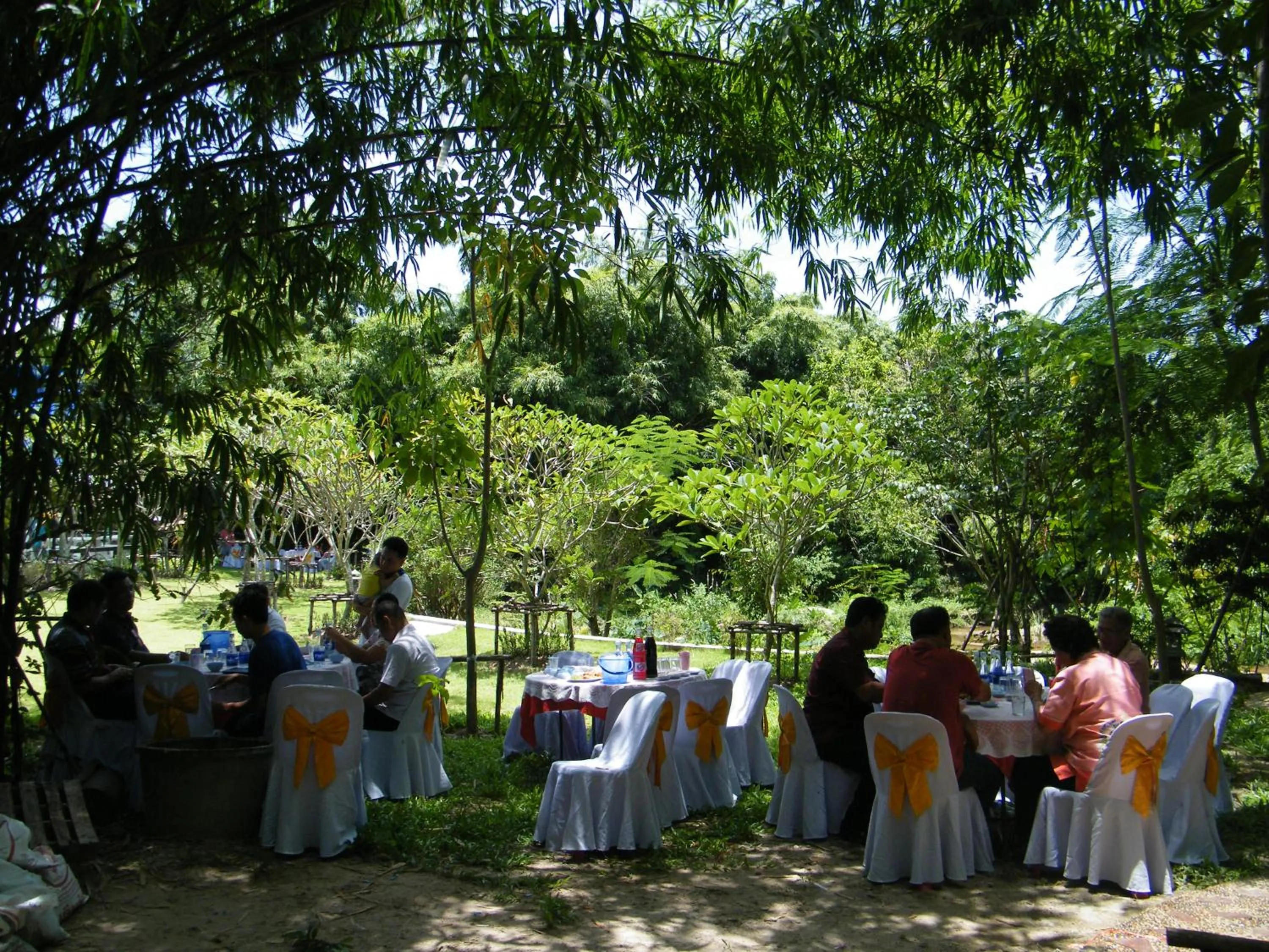 Animals in Ya Teng Homestay