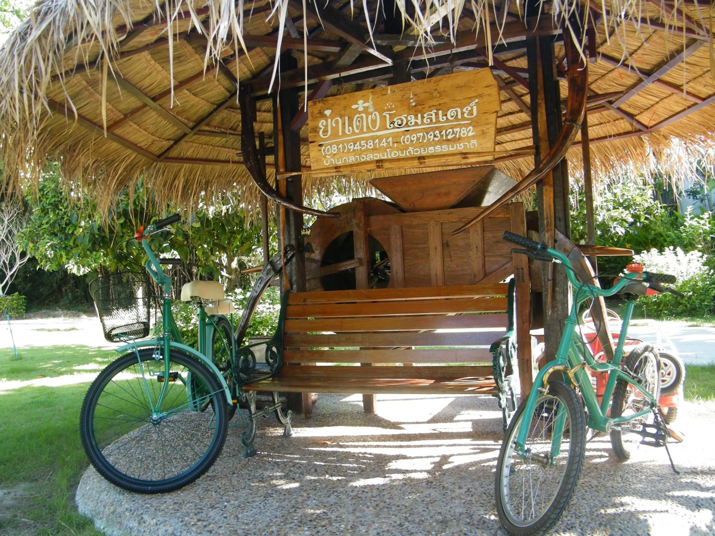 Activities in Ya Teng Homestay