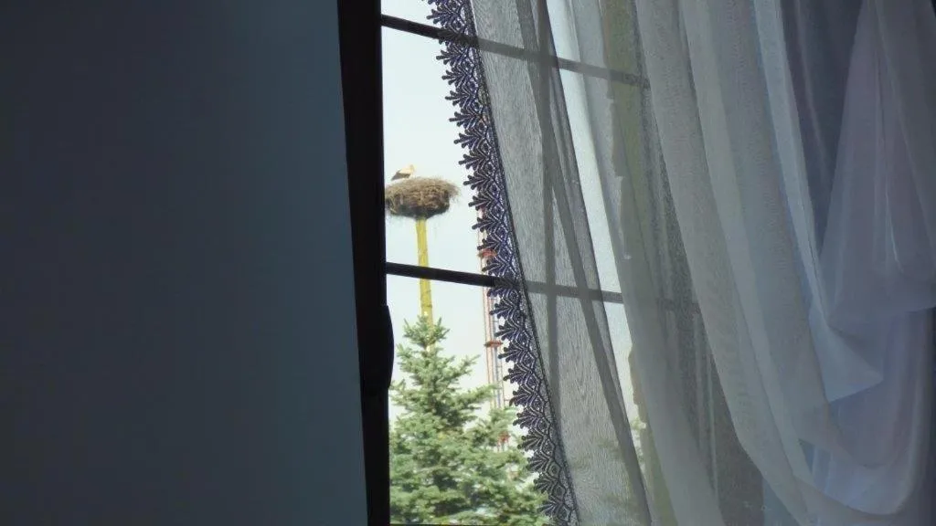 View (from property/room) in Agroturystyka Klekusiowo