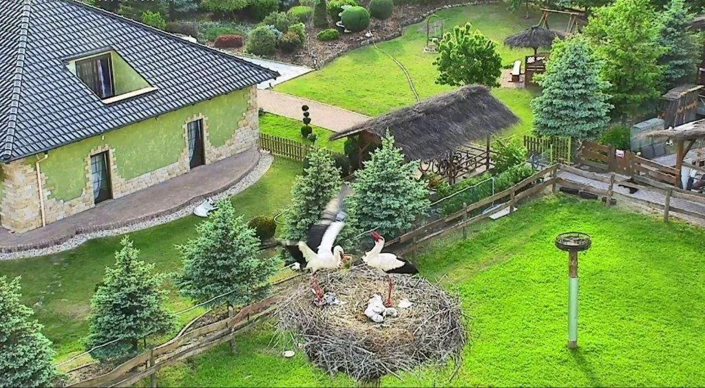 Natural landscape in Agroturystyka Klekusiowo
