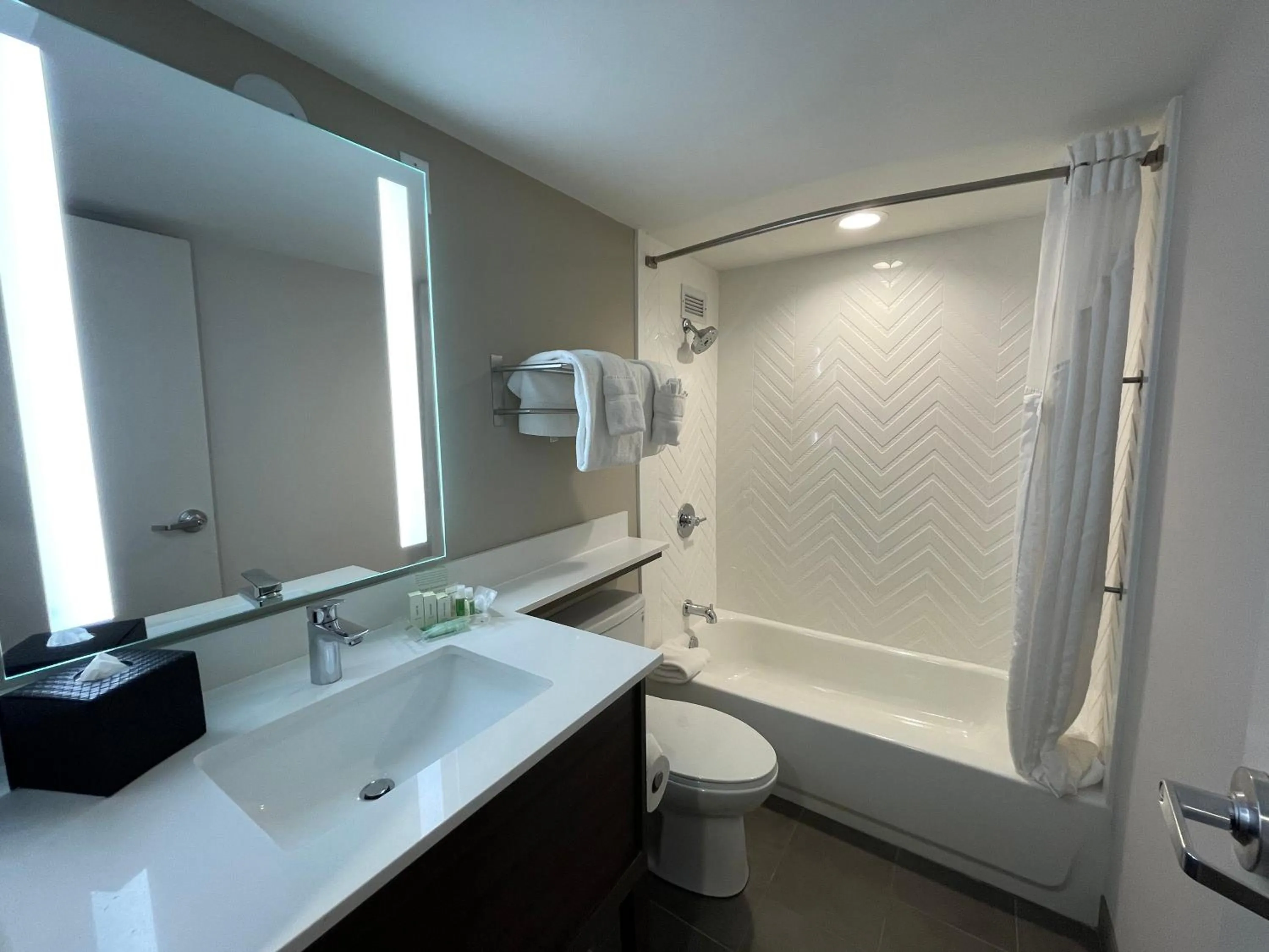 Bathroom in Holiday Inn Hotel & Suites Chicago - Downtown by IHG