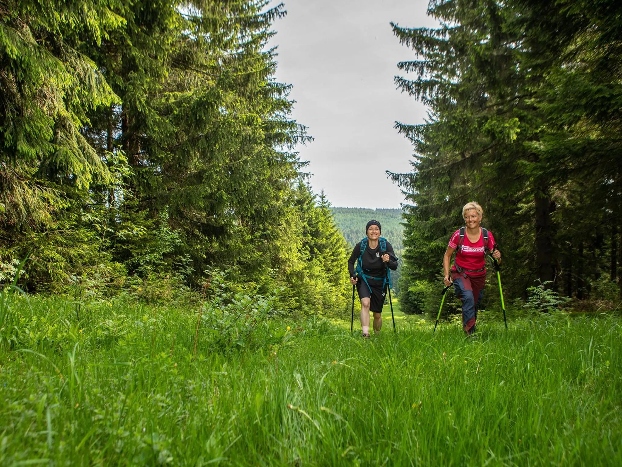 Hiking in k1 sporthotel - Bike & Ski inklusive Hotel