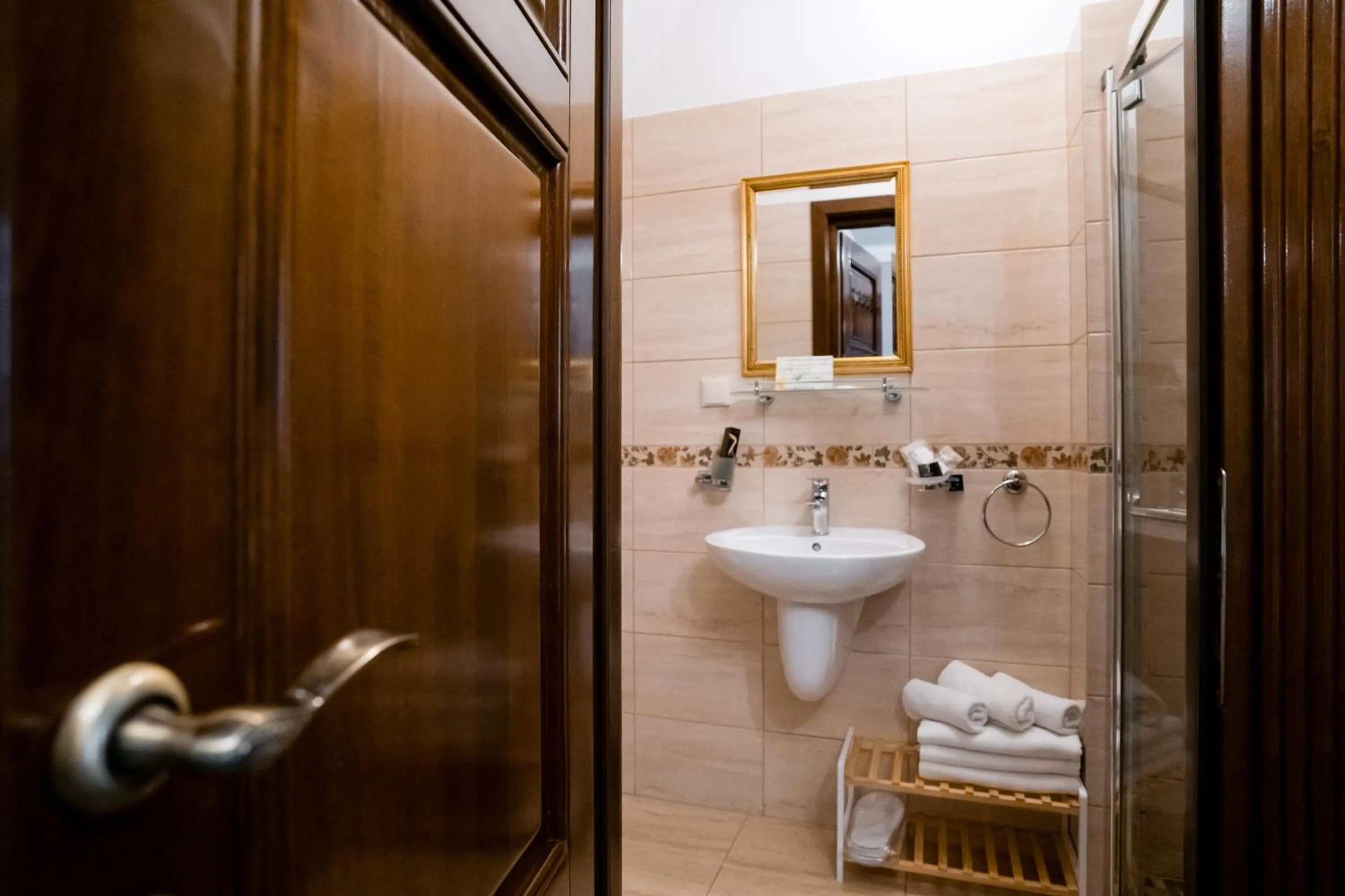 Shower in Rosen Villa Sibiu