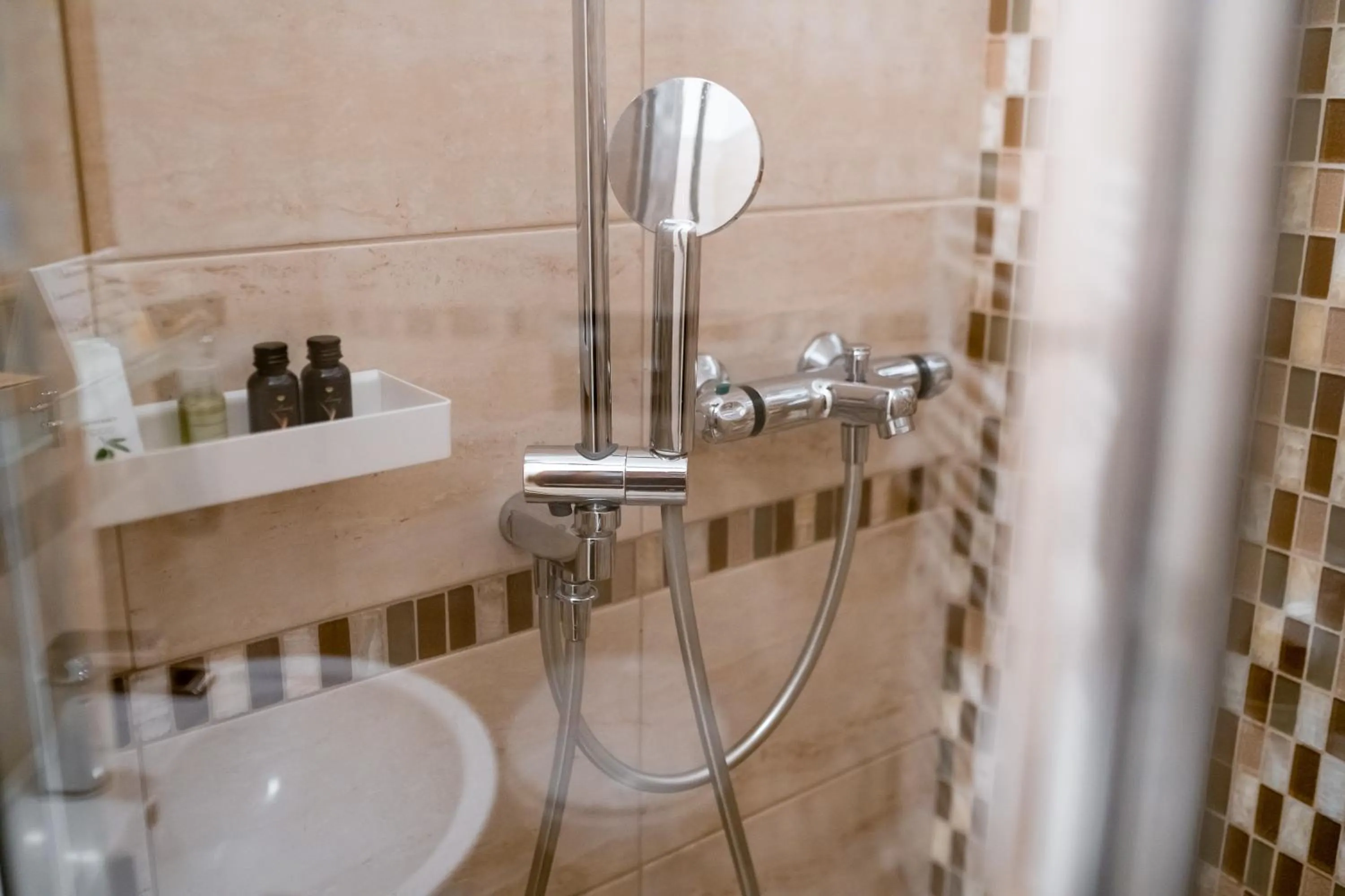 Shower in Rosen Villa Sibiu