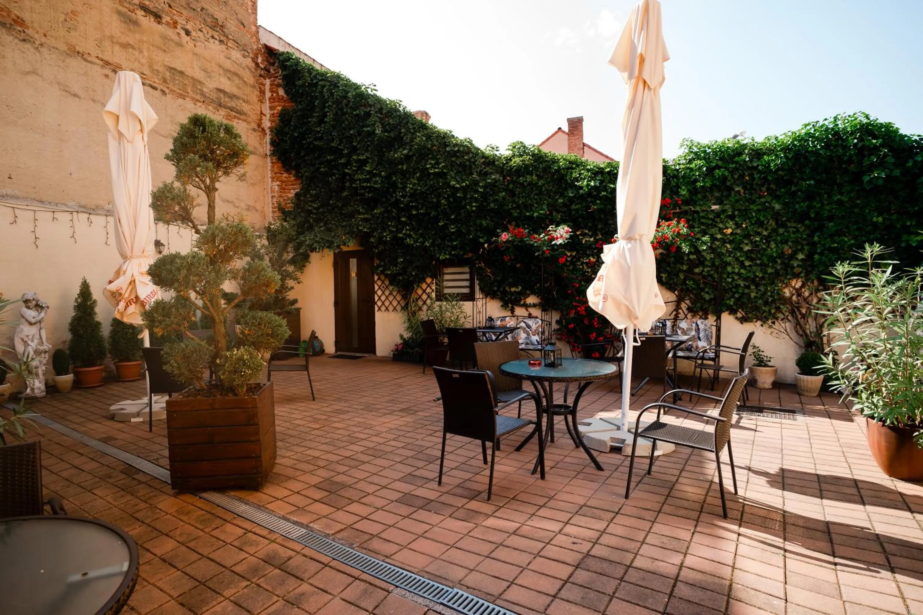 Patio in Rosen Villa Sibiu