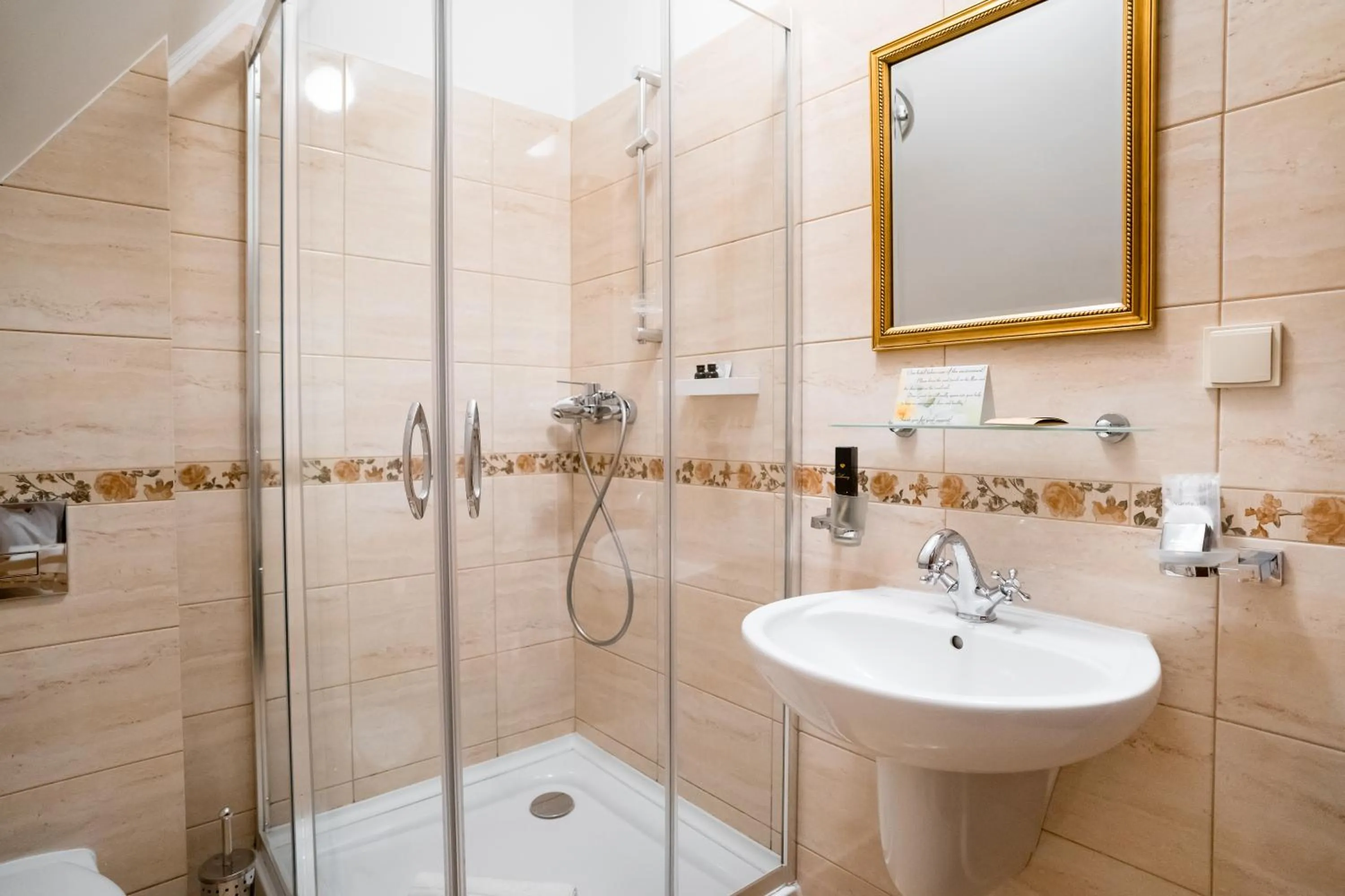 Shower in Rosen Villa Sibiu