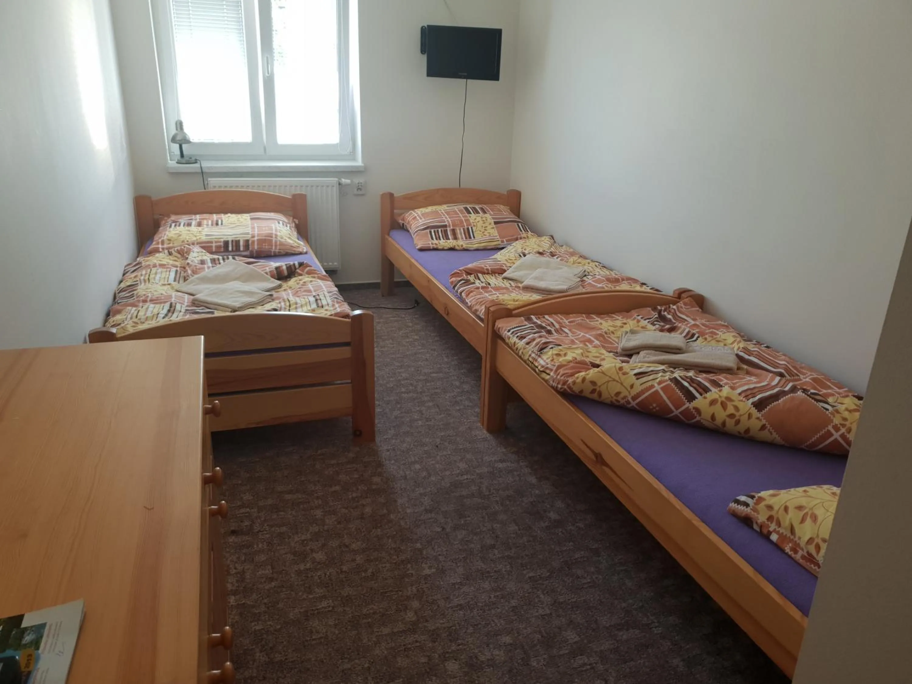 Triple Room - single occupancy in Ubytování U Františka