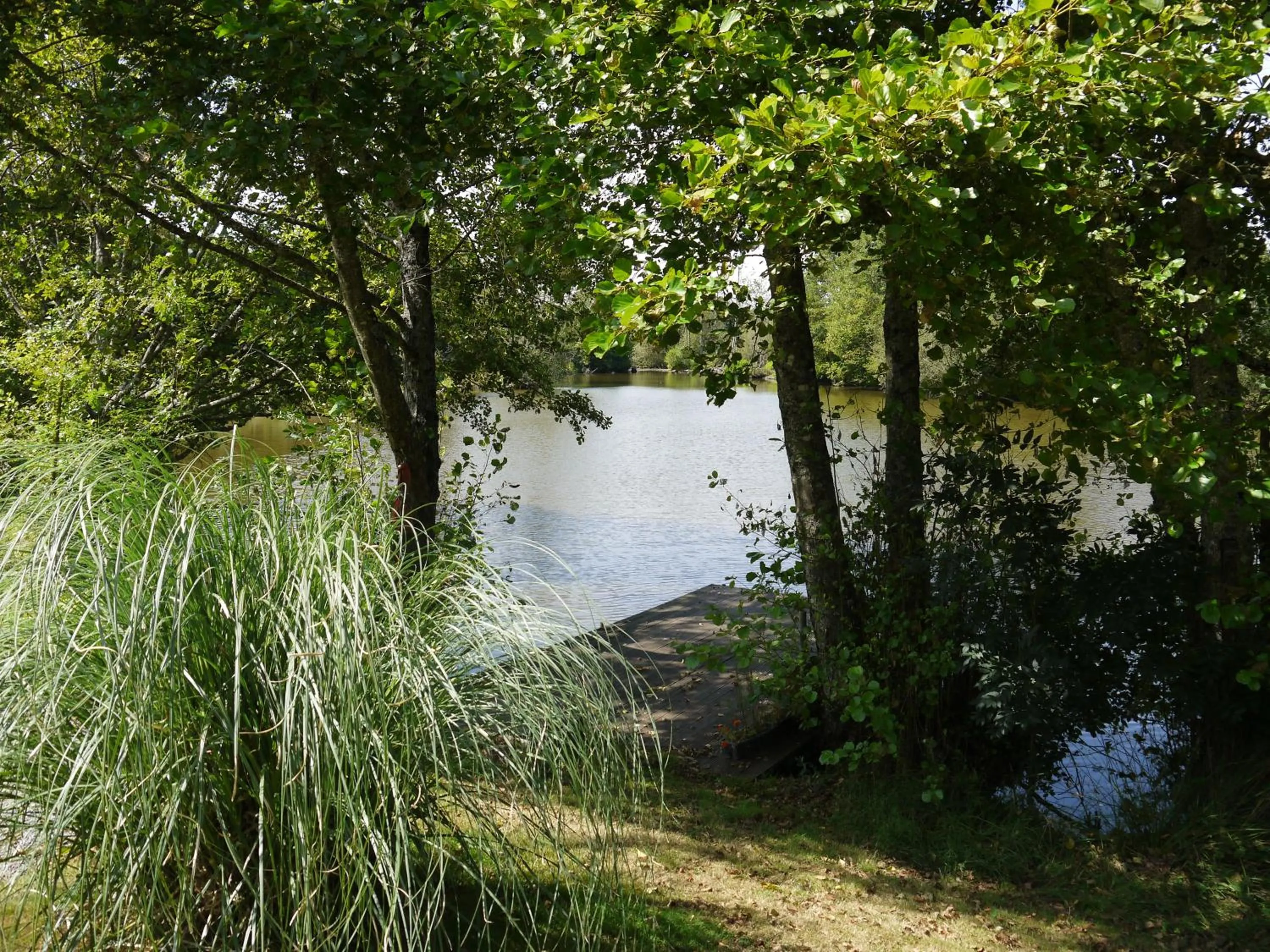 Natural landscape in La Revaudiere