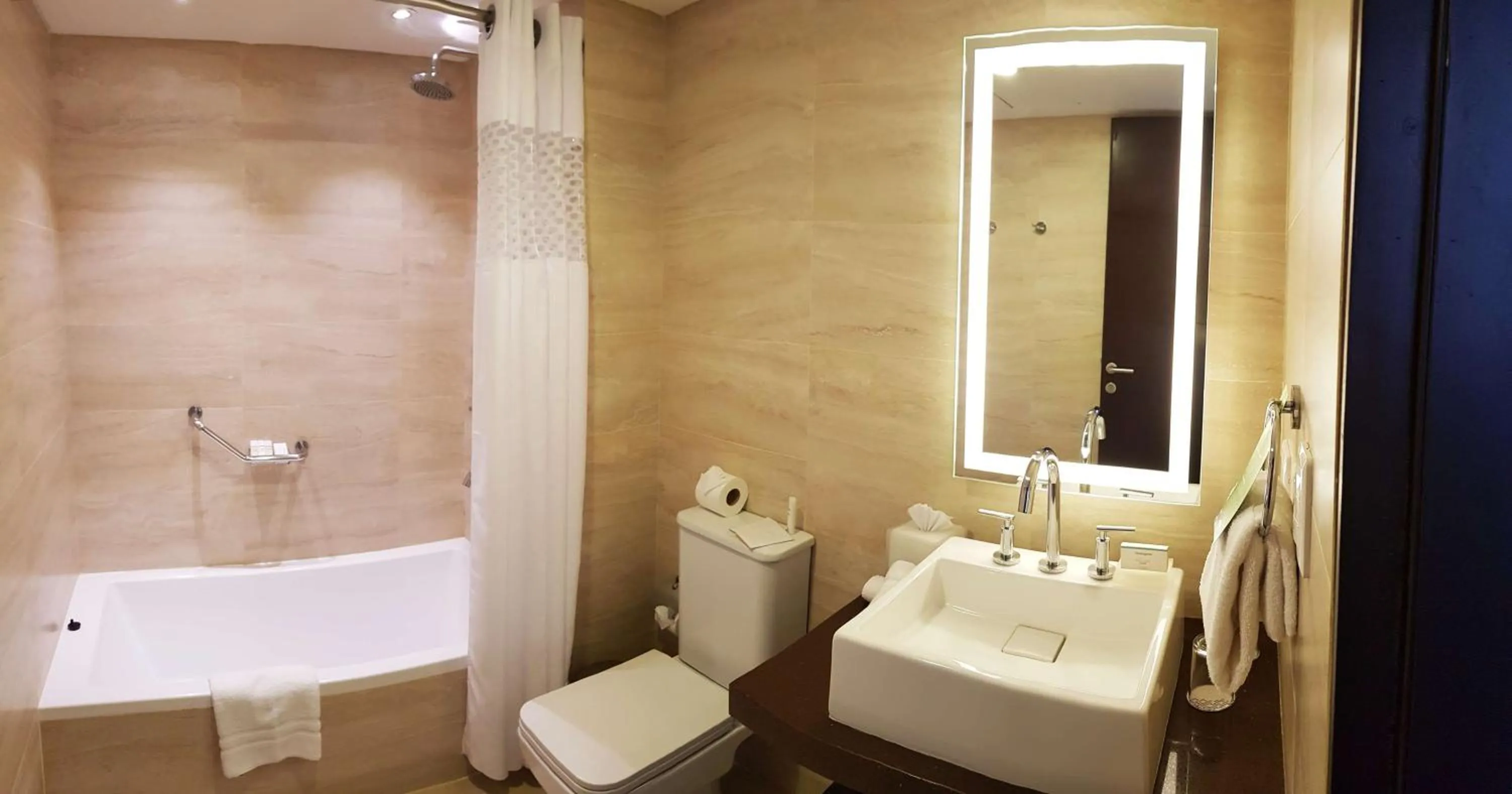 Bathroom in Hampton by Hilton Santa Cruz