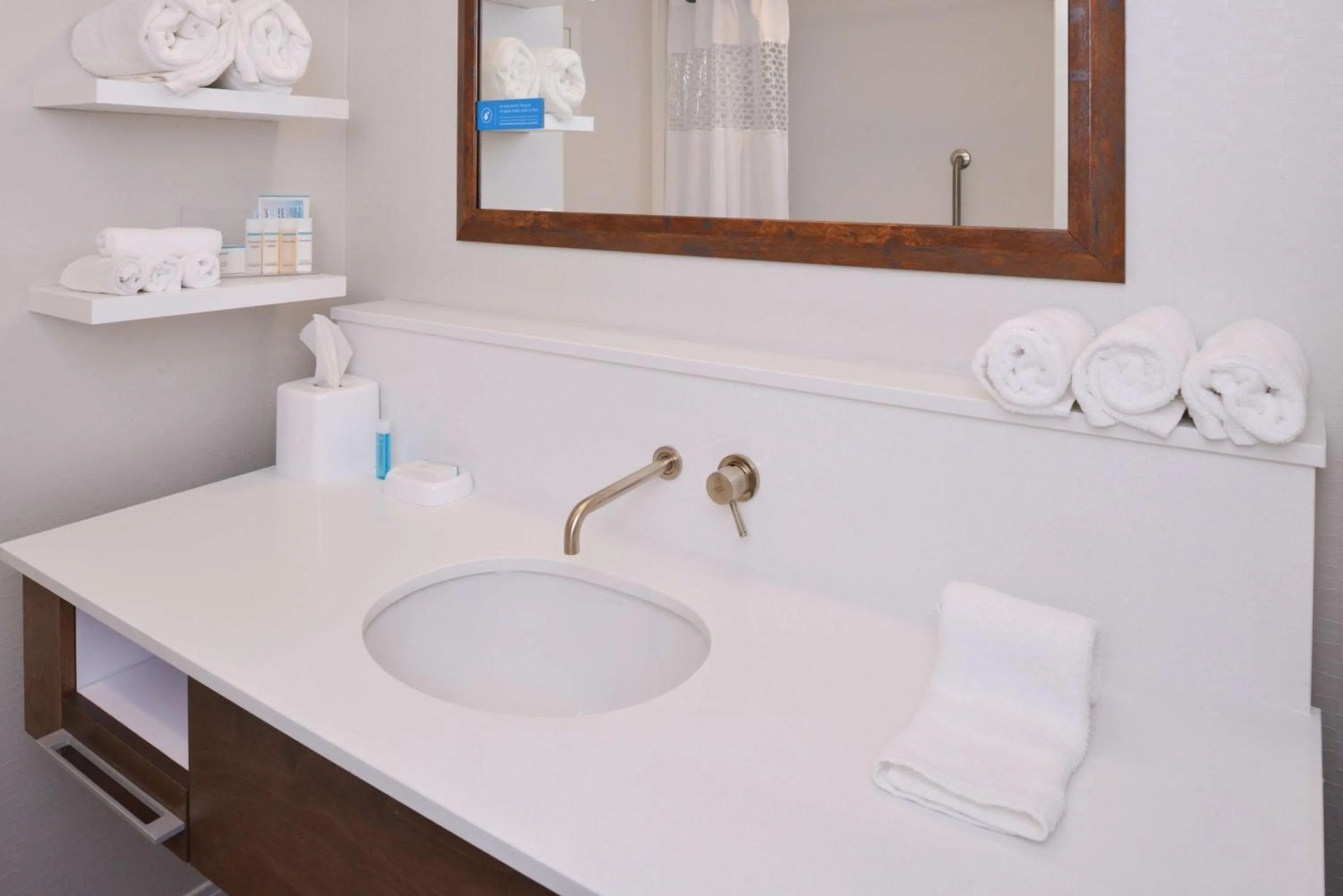 Bathroom in Hampton Inn & Suites Cincinnati-Mason, Ohio