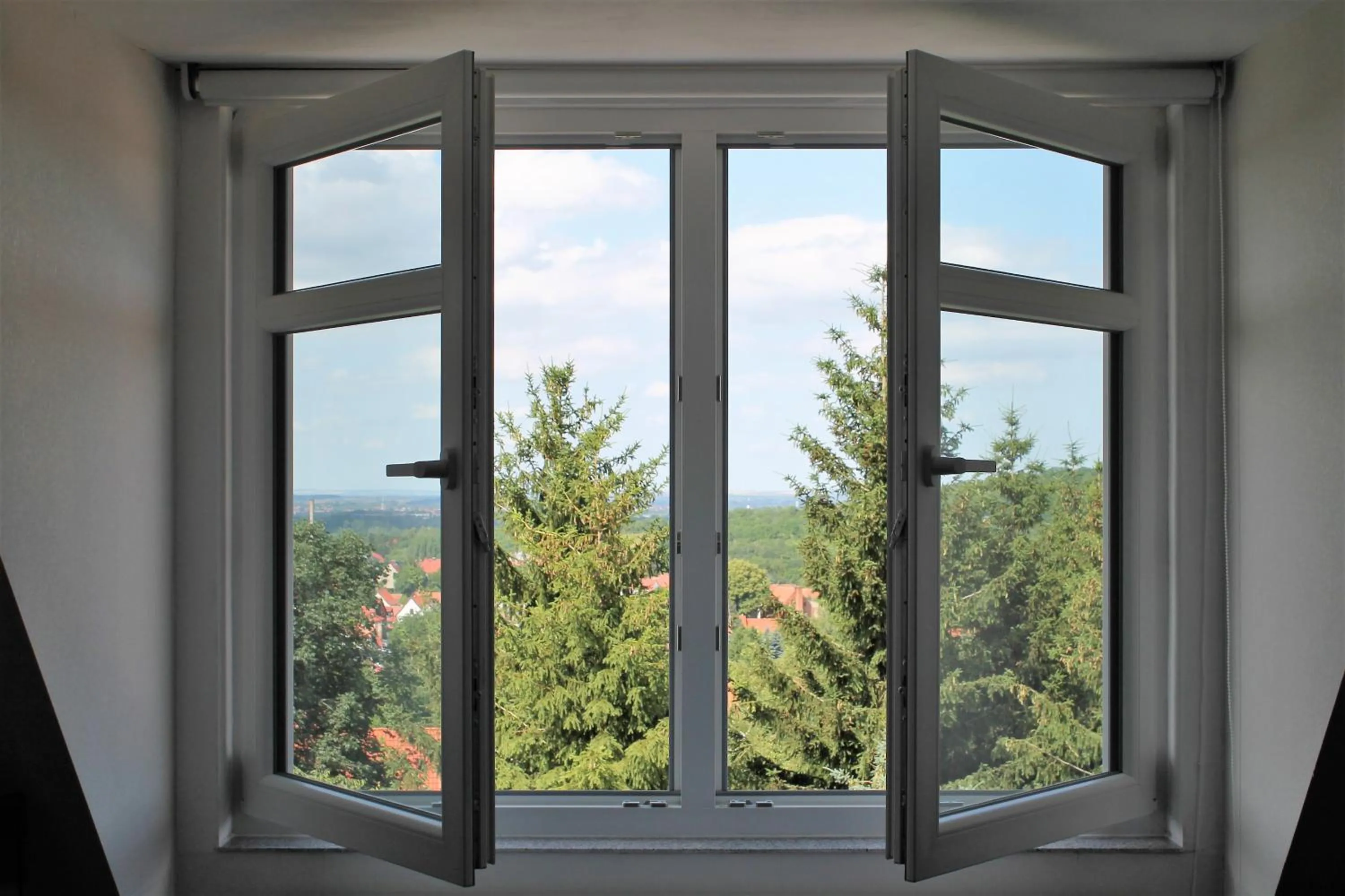 View (from property/room) in Le petit Palais - Apartments