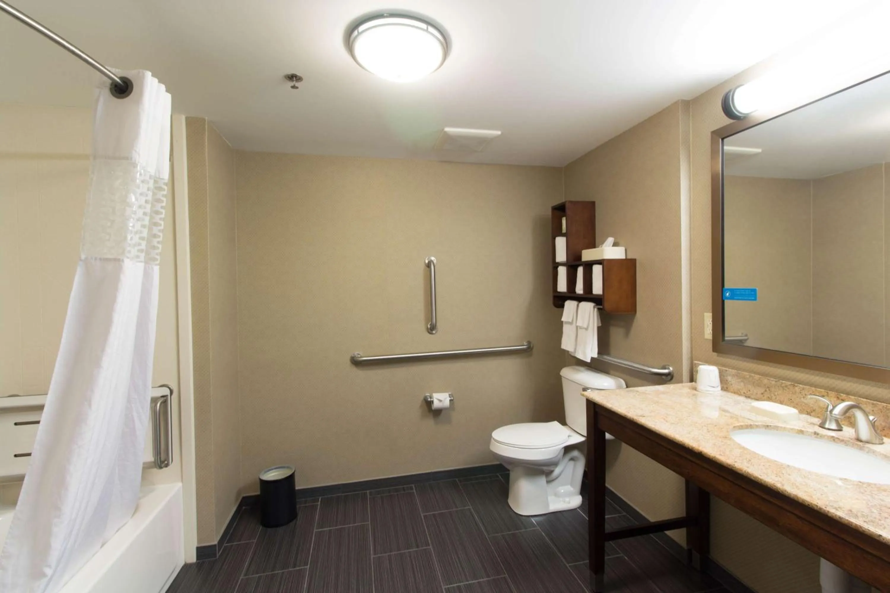 Bathroom in Hampton Inn Columbus-South